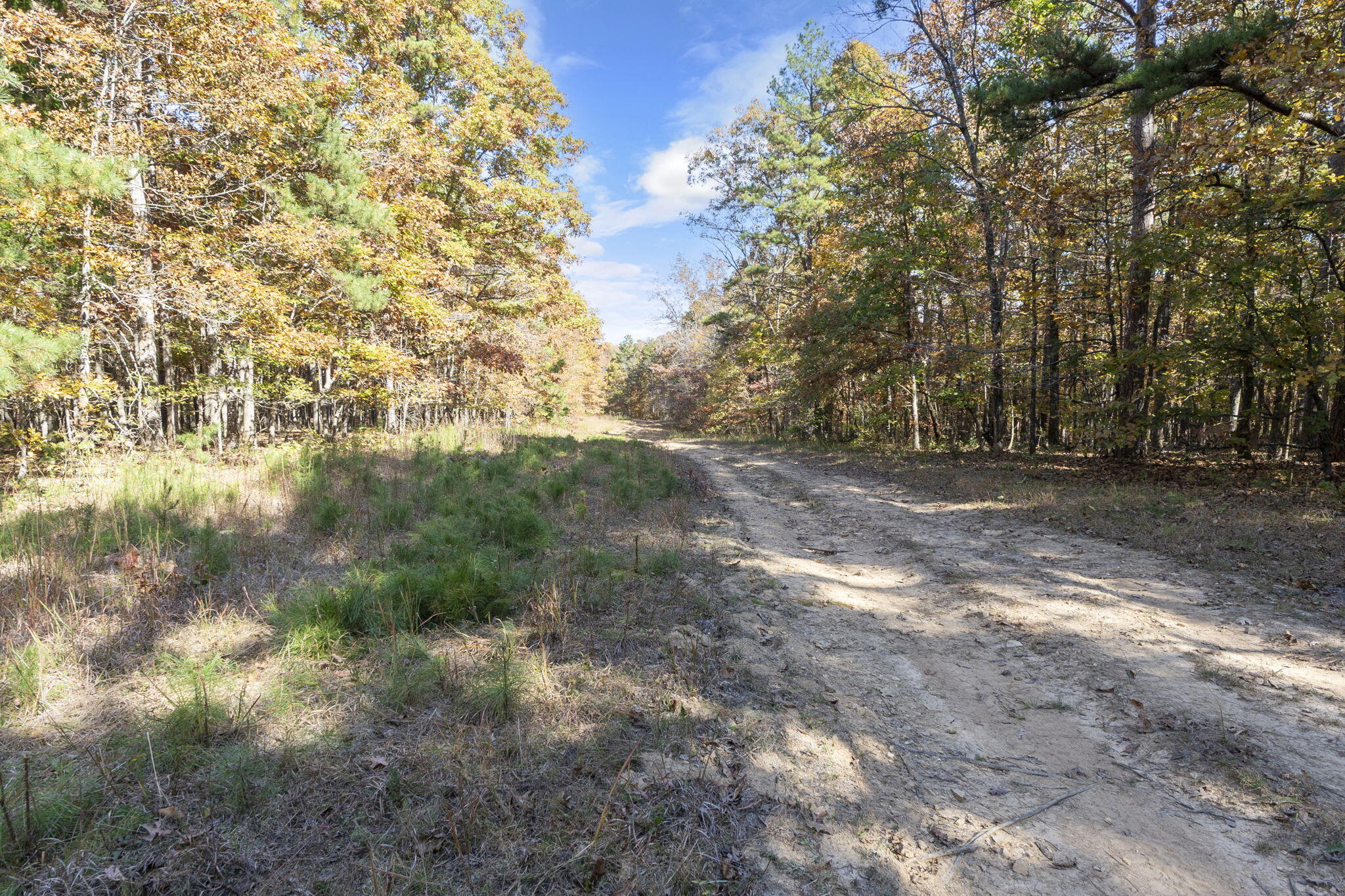 0000 Dogwood Ln Property Photo 111