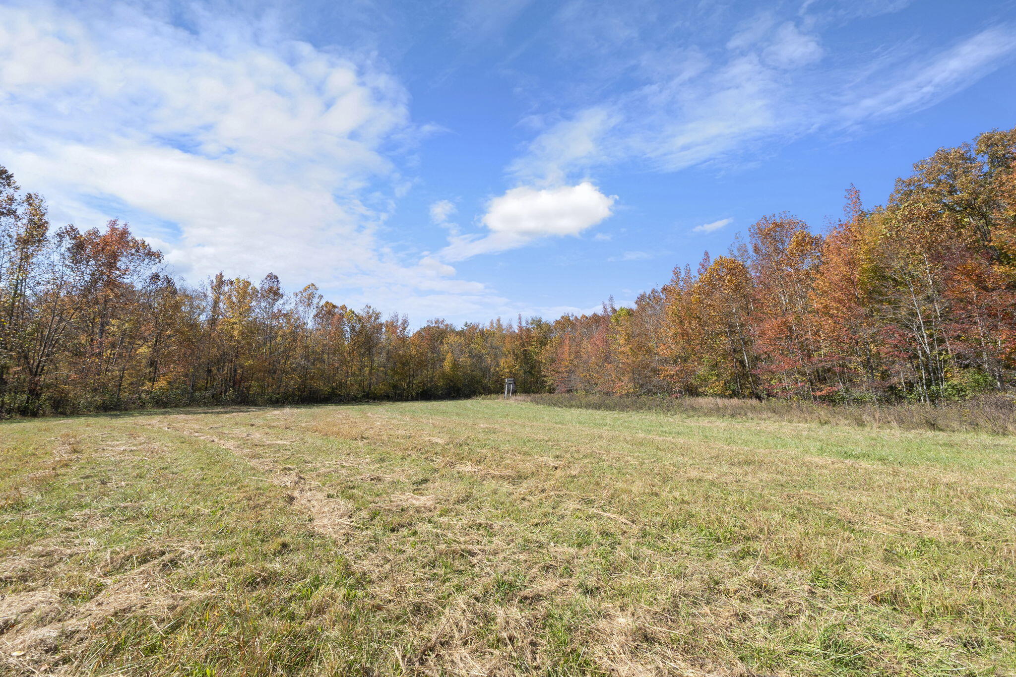 0000 Dogwood Ln Property Photo 113