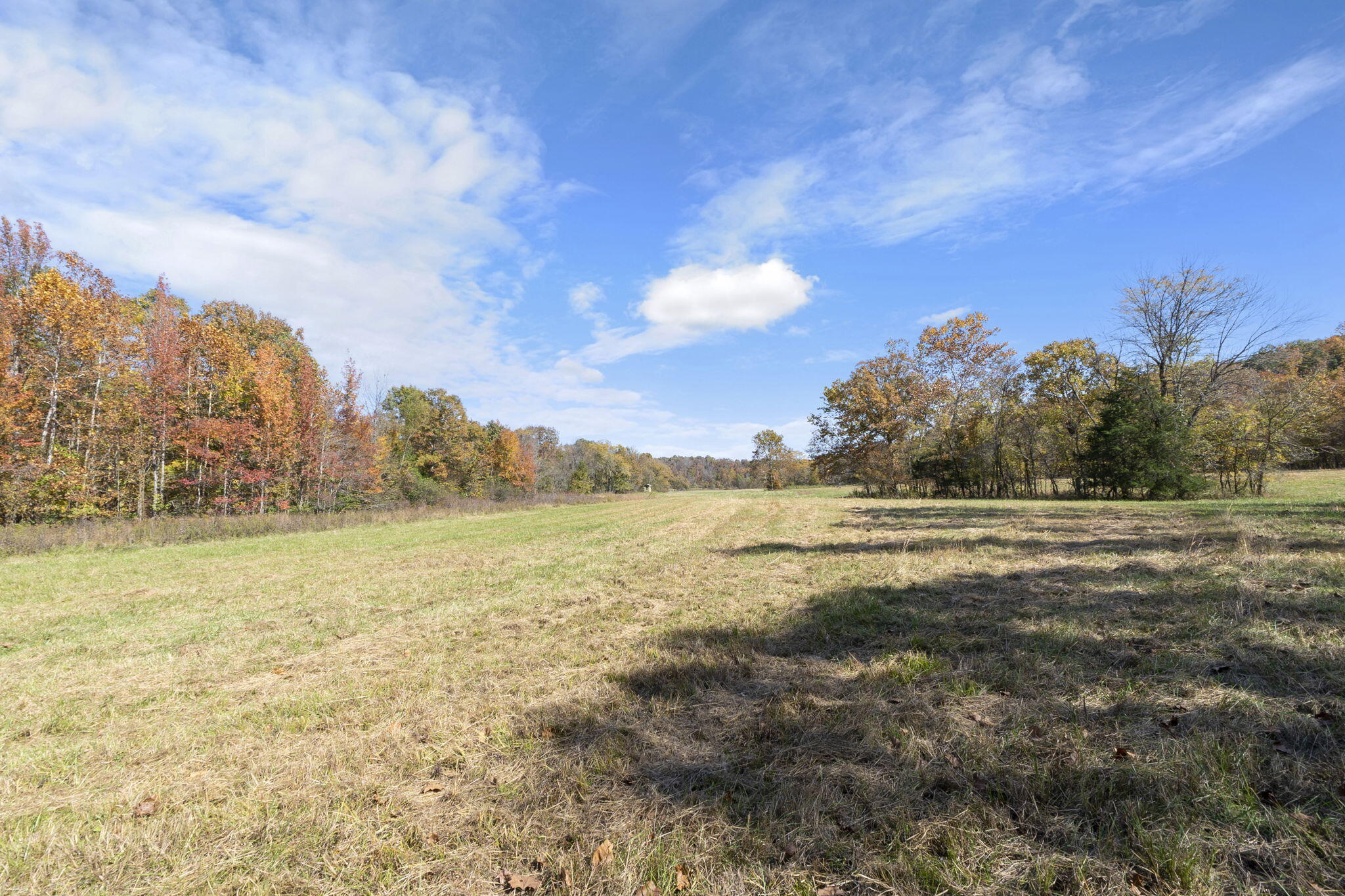 0000 Dogwood Ln Property Photo 114