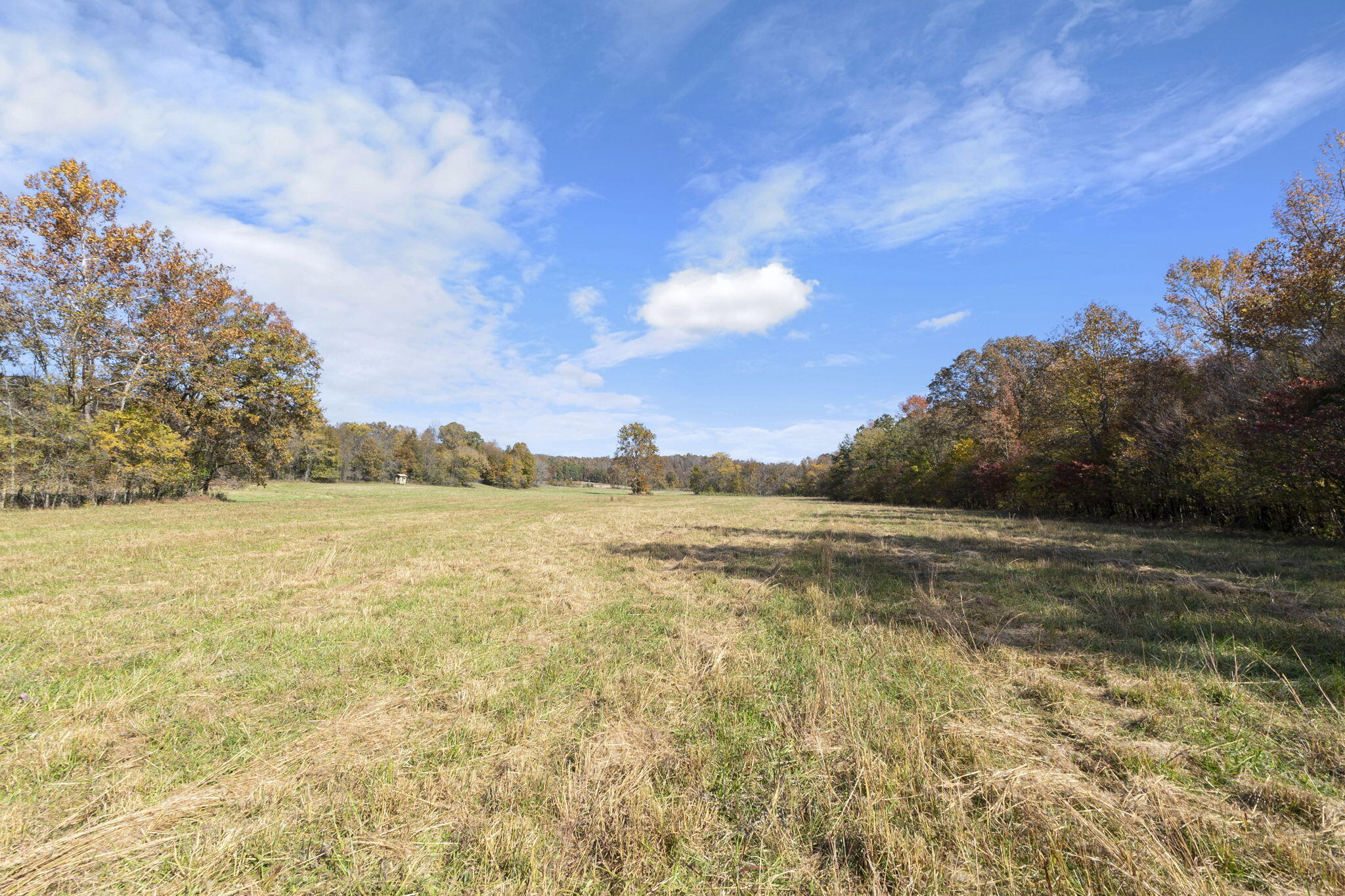 0000 Dogwood Ln Property Photo 115