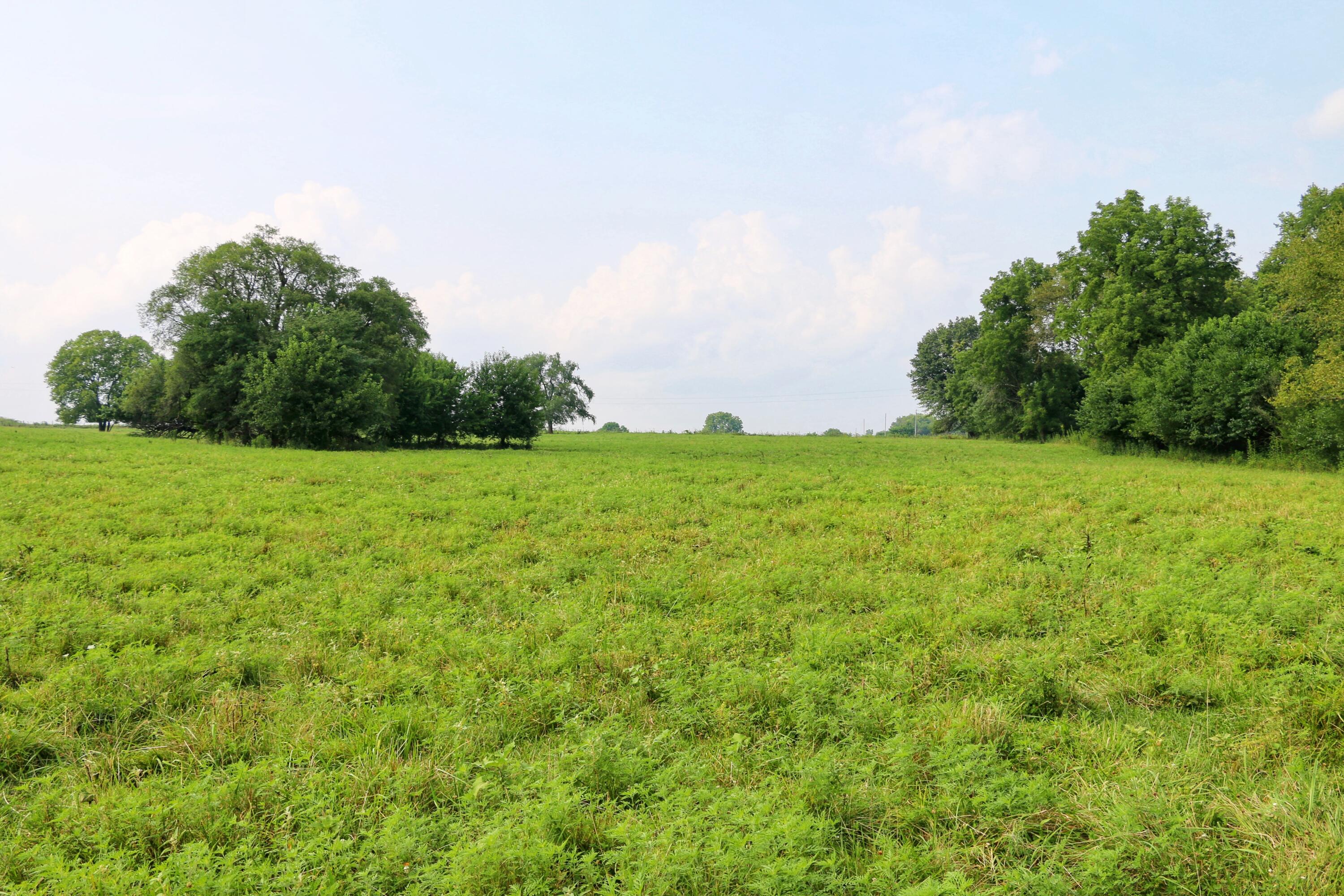 000 West Farm Road 60 - Tract 1 Property Photo 13