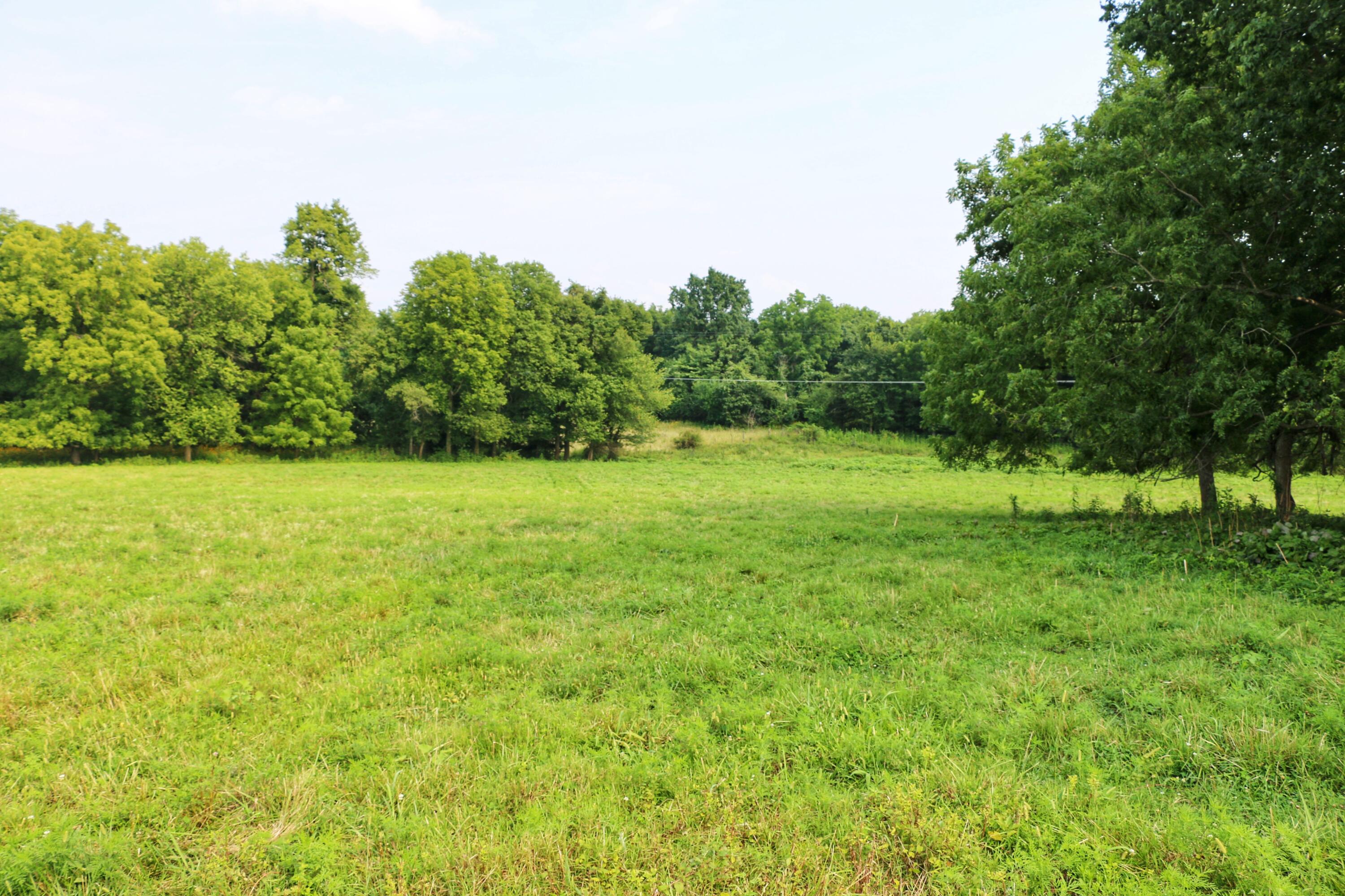 000 West Farm Road 60 - Tract 1 Property Photo 14