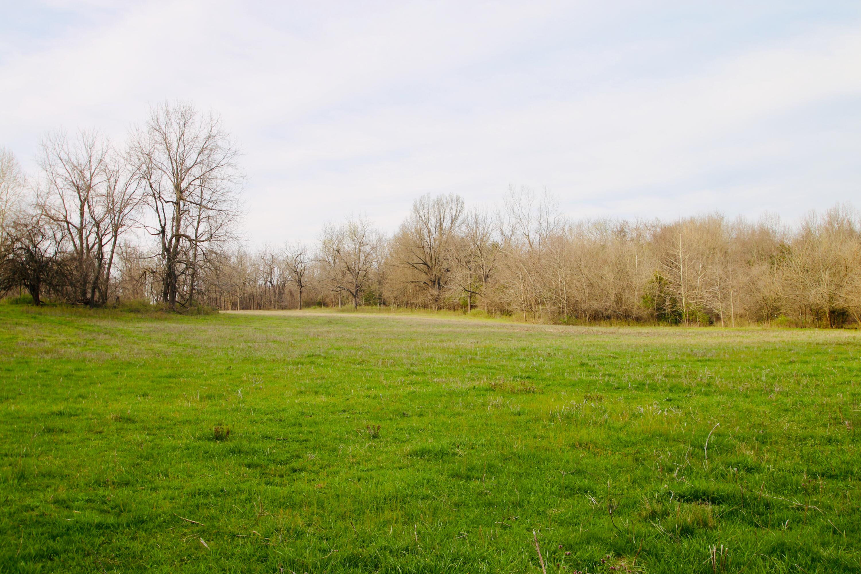 000 West Farm Road 60 - Tract 1 Property Photo 16