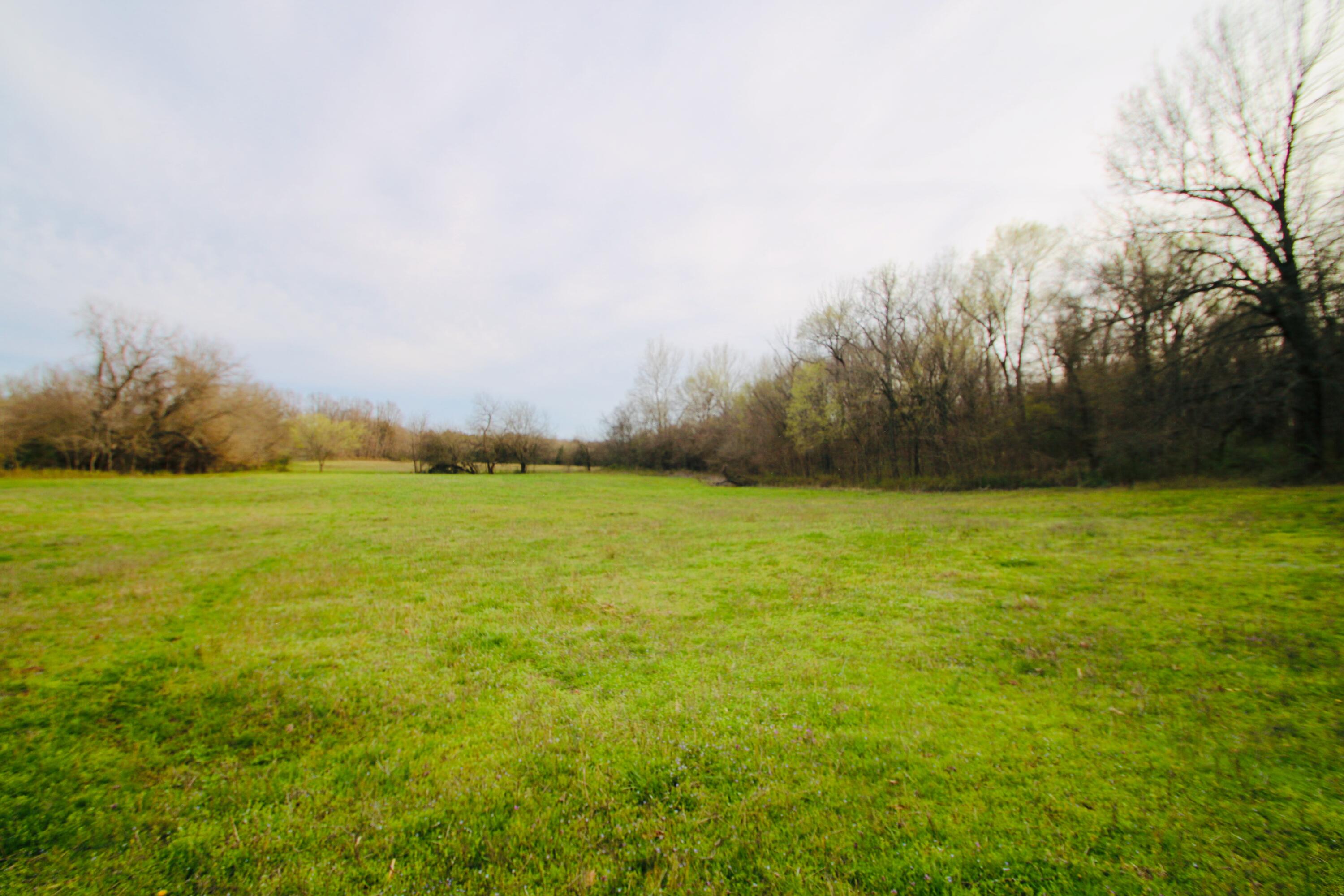 000 West Farm Road 60 - Tract 1 Property Photo 17