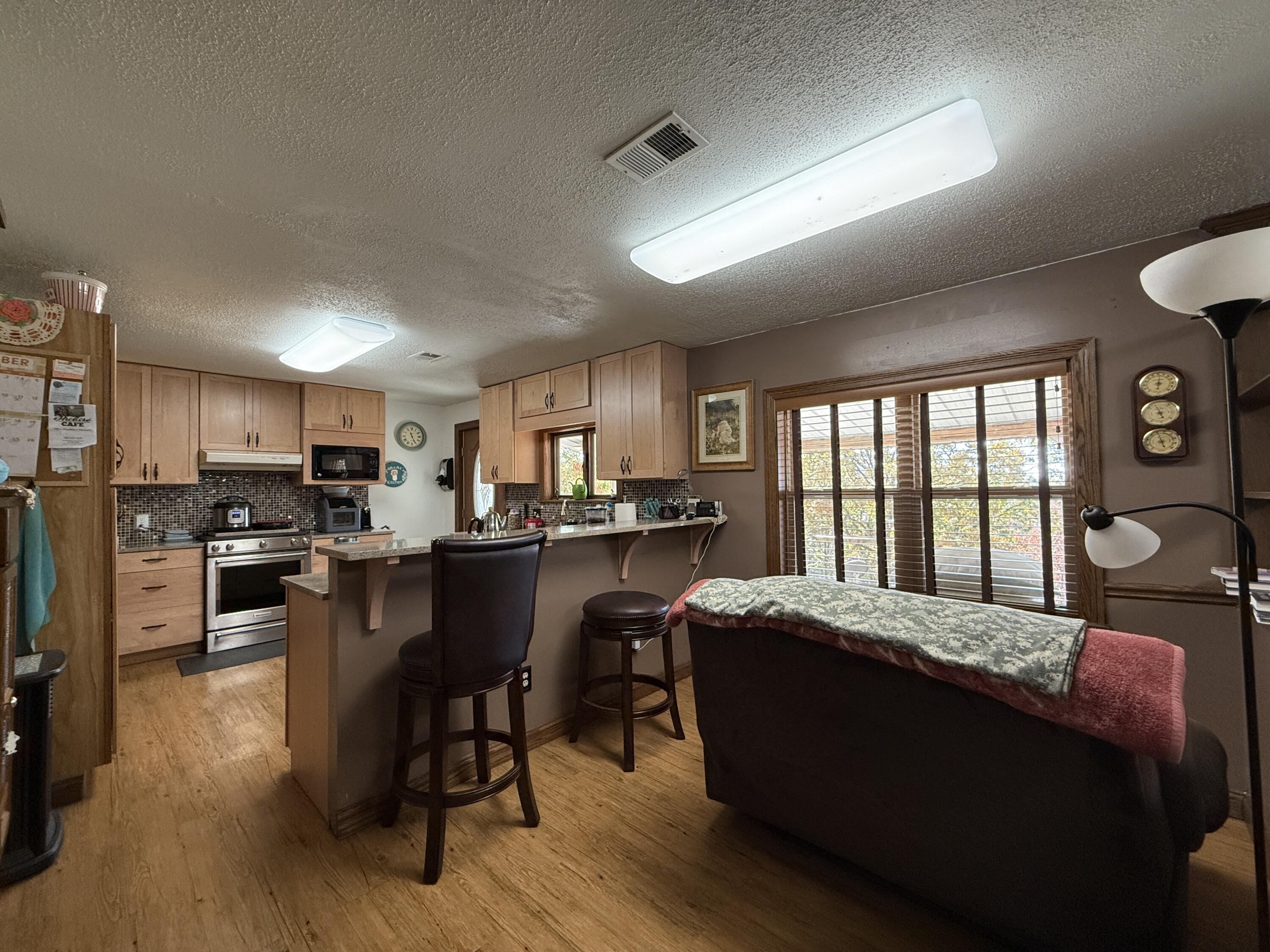 13060 Highway Ee (option 1) Property Photo 10