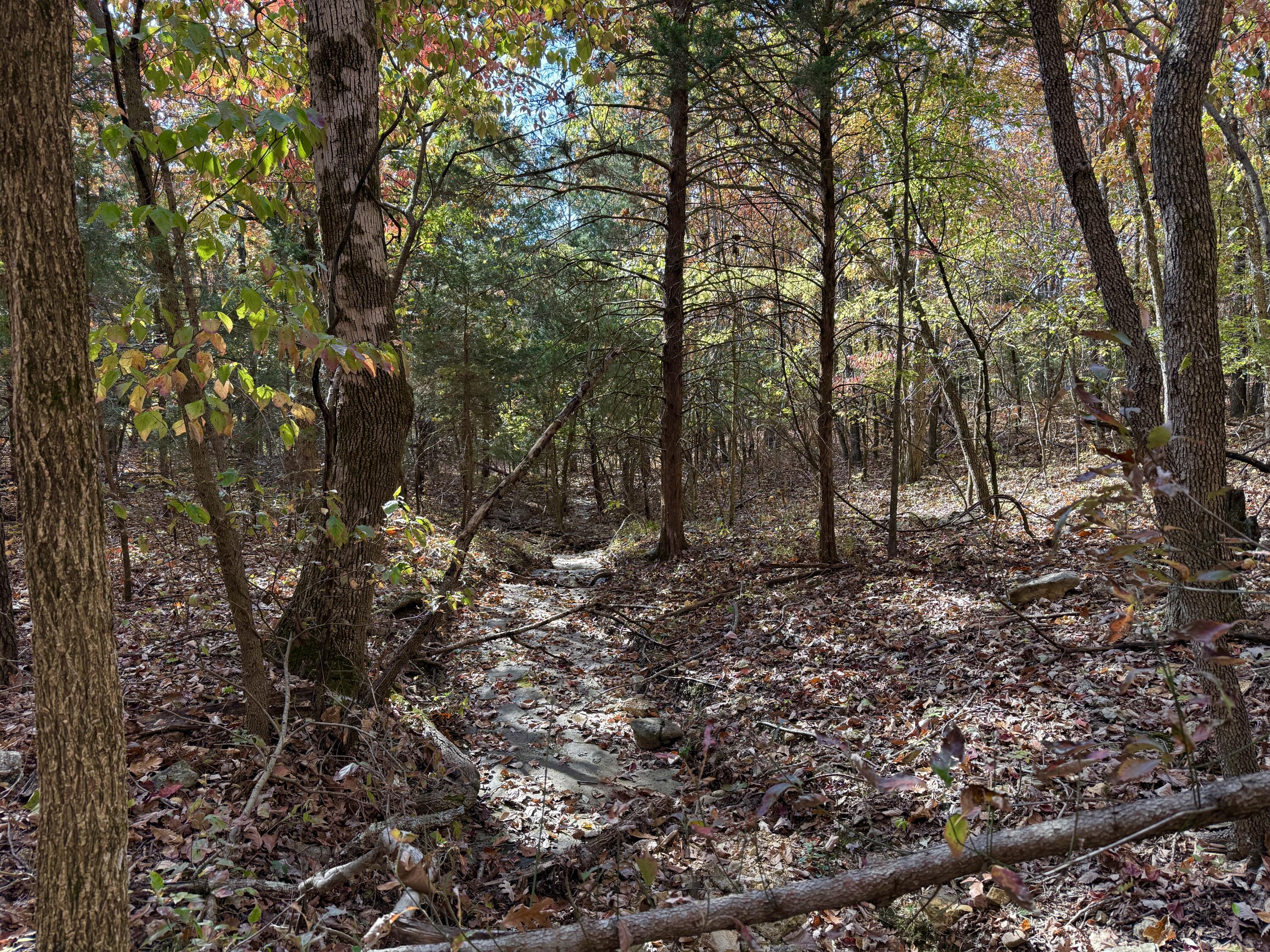 13060 Highway Ee (option 1) Property Photo 33