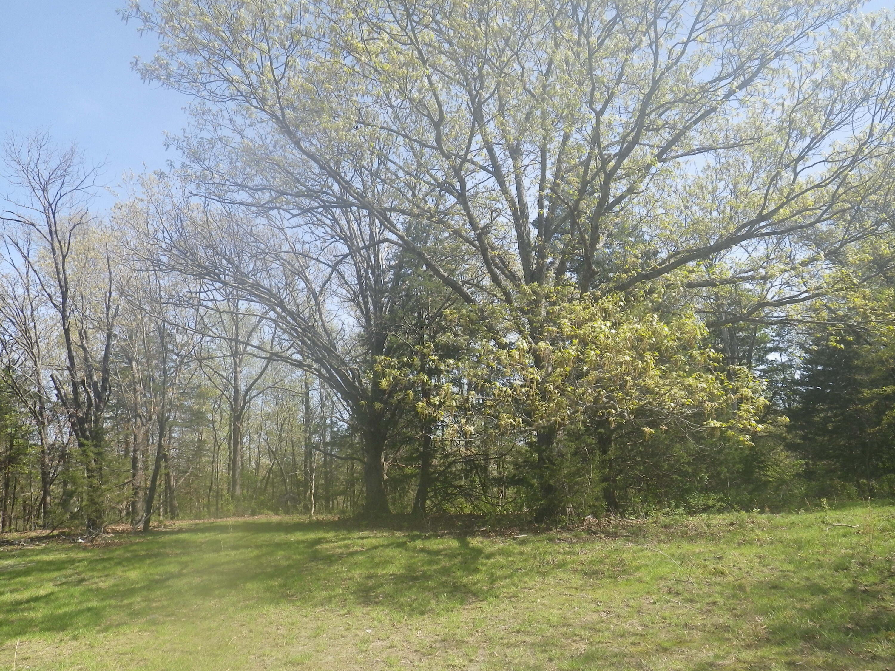 000 Longview Road Property Photo