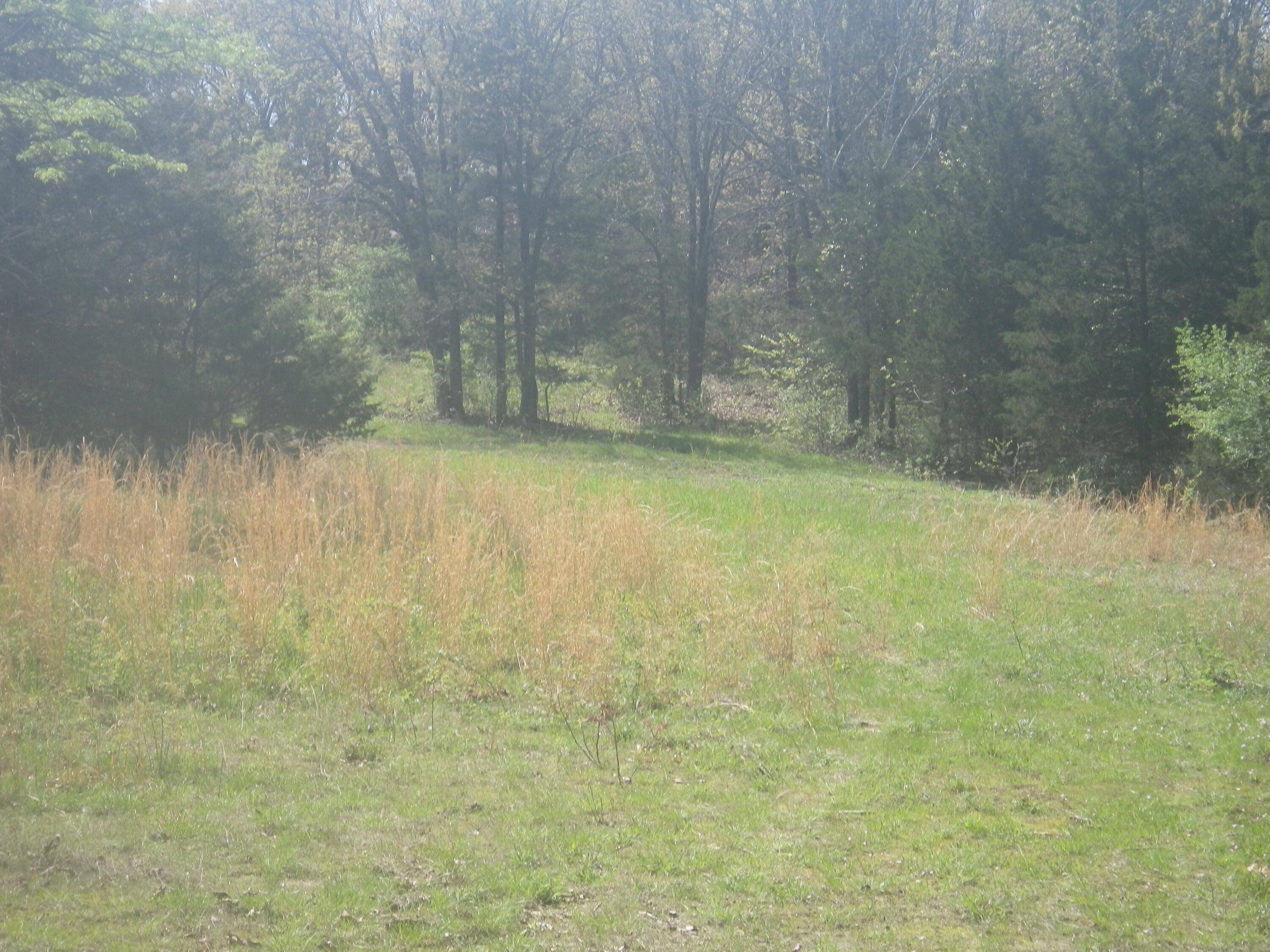 000 Longview Road Property Photo 3