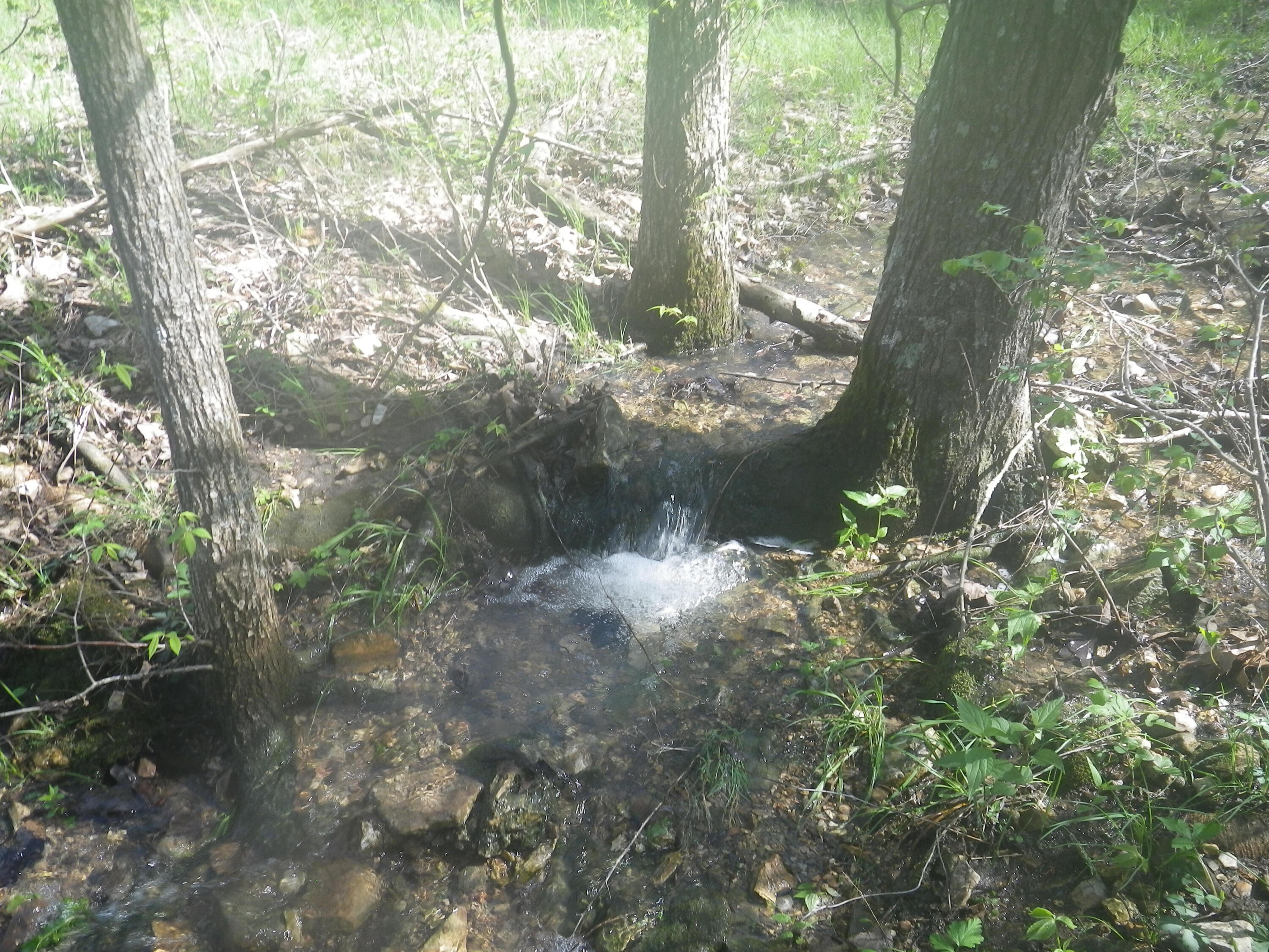 000 Longview Road Property Photo 4