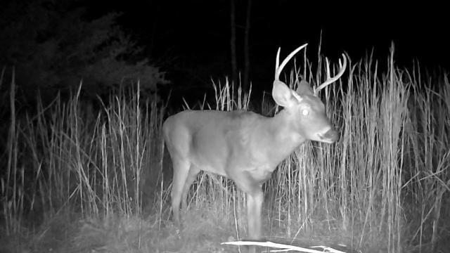 000 Longview Road Property Photo 5