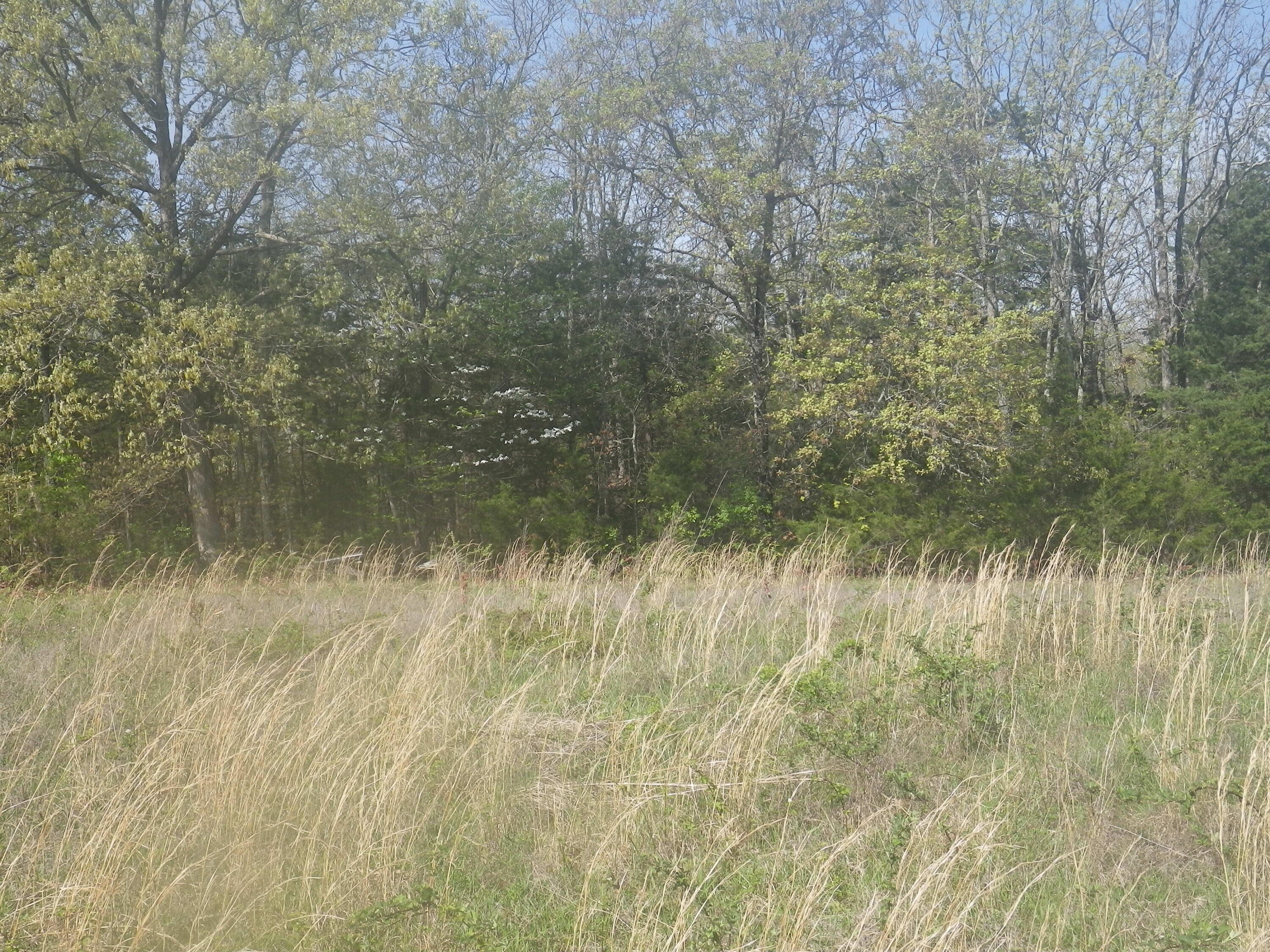 000 Longview Road Property Photo 7