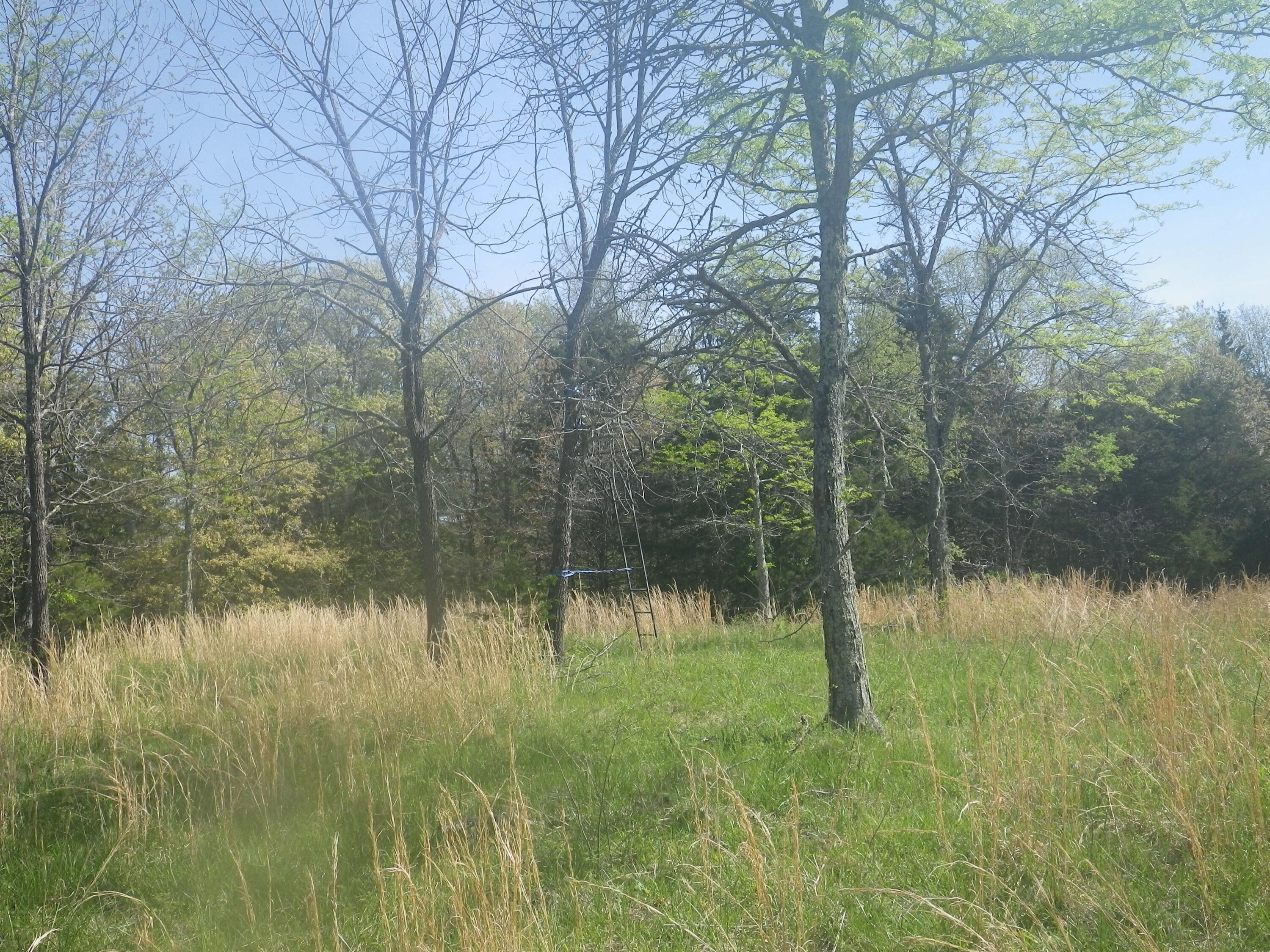 000 Longview Road Property Photo 10