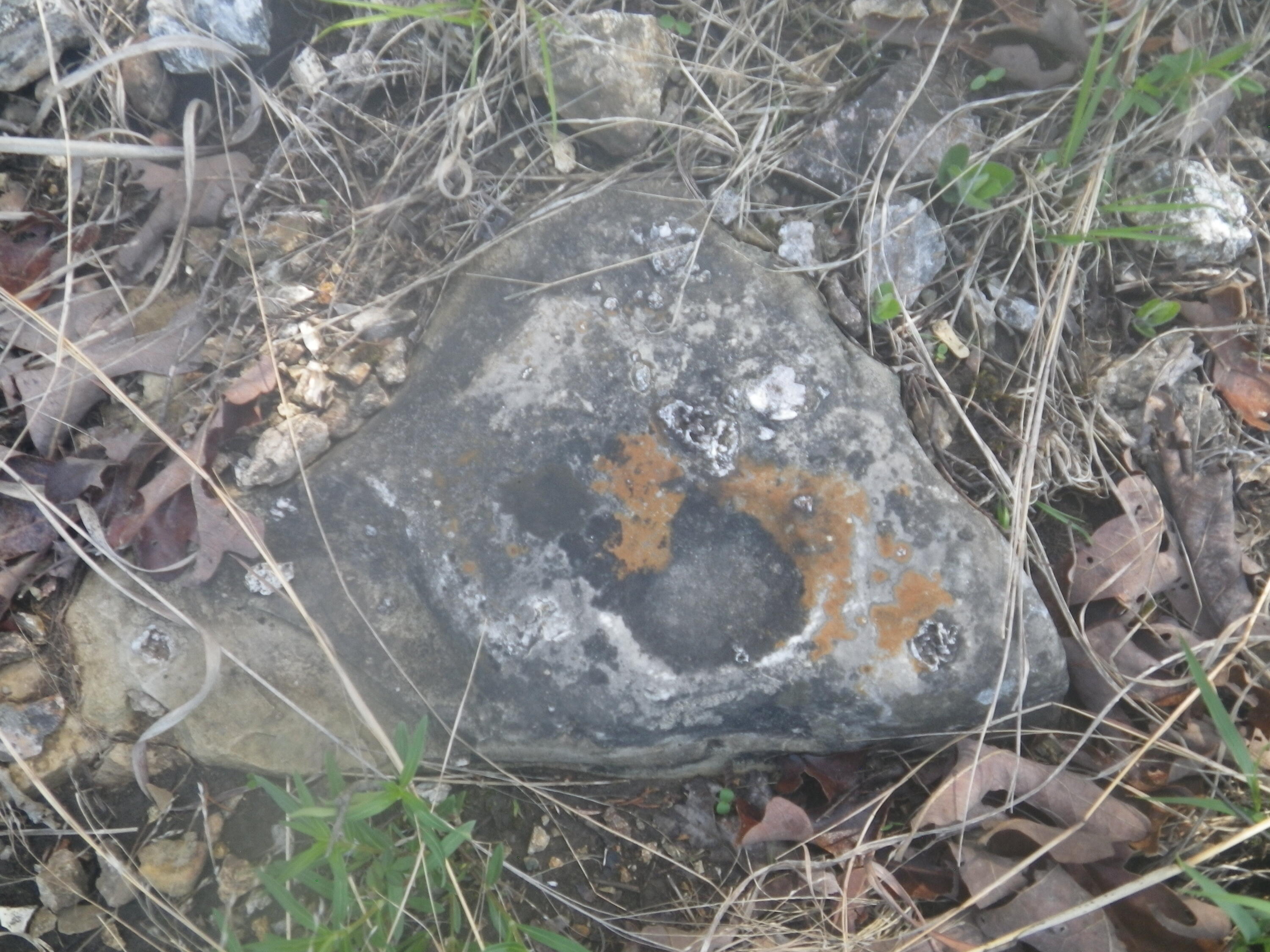 000 Longview Road Property Photo 11