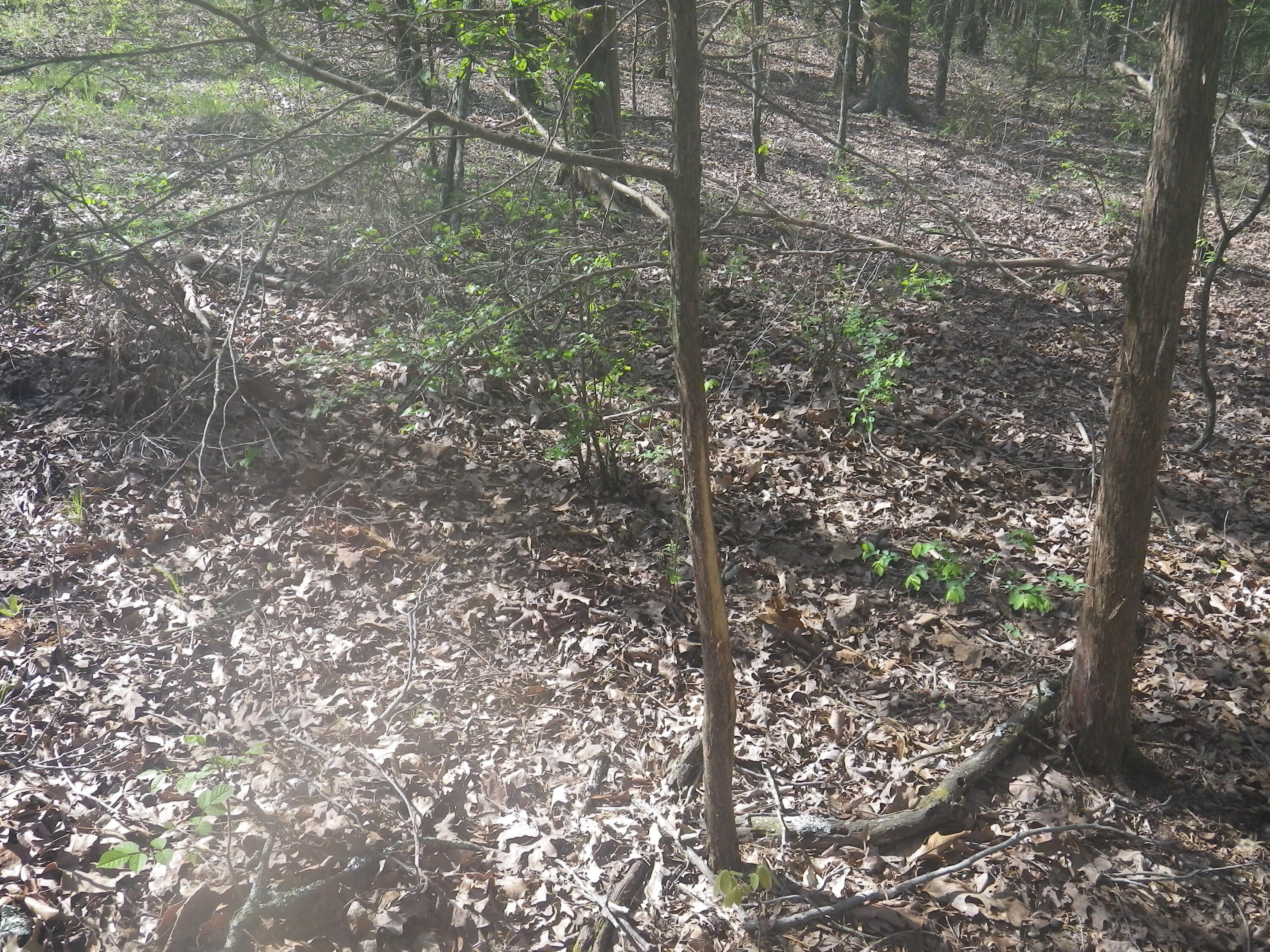 000 Longview Road Property Photo 12