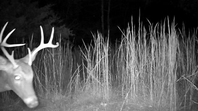 000 Longview Road Property Photo 13