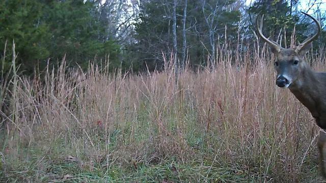 000 Longview Road Property Photo 14