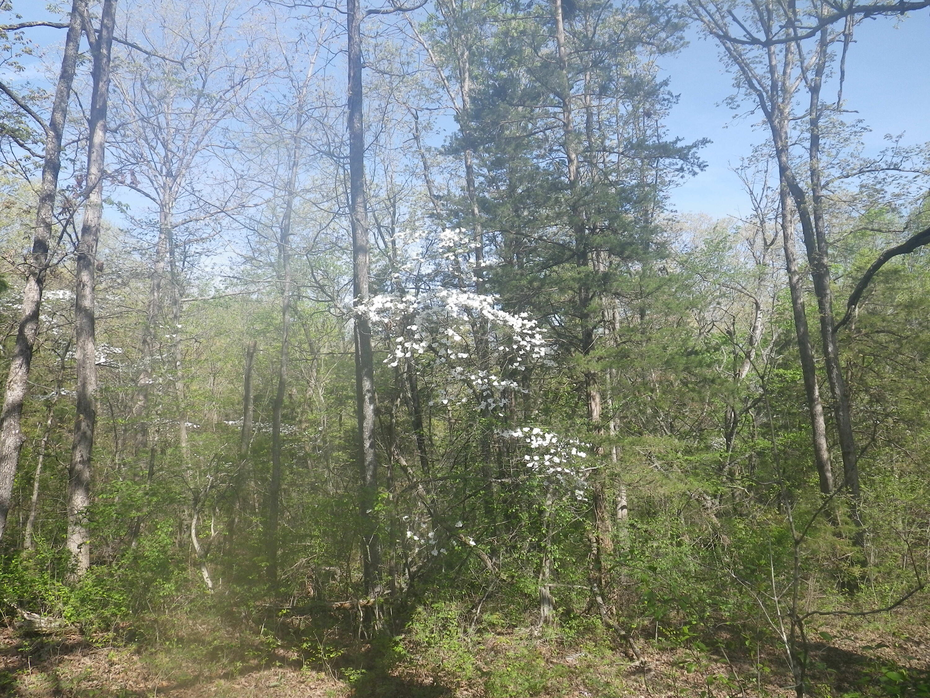 000 Longview Road Property Photo 16