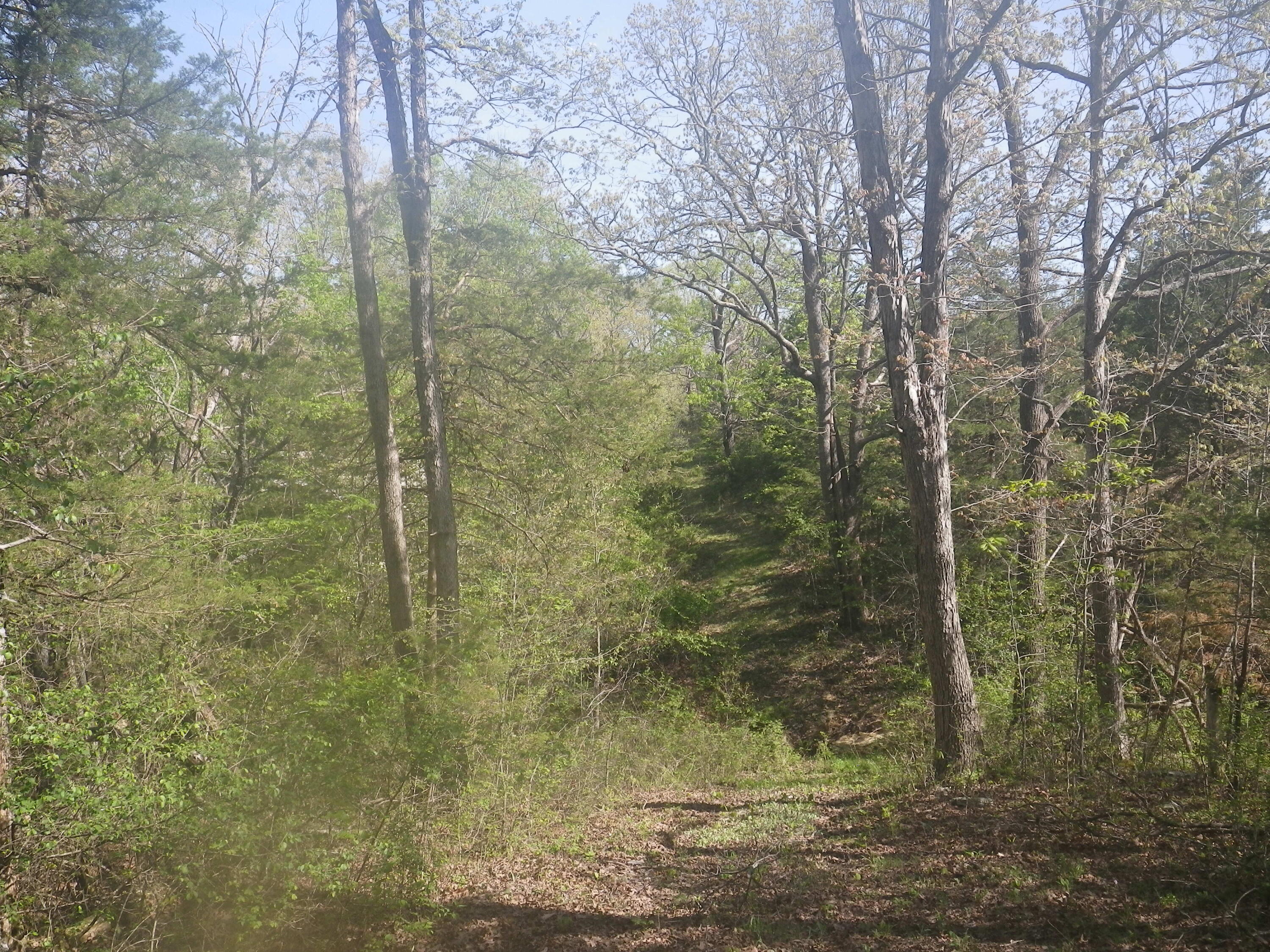 000 Longview Road Property Photo 17