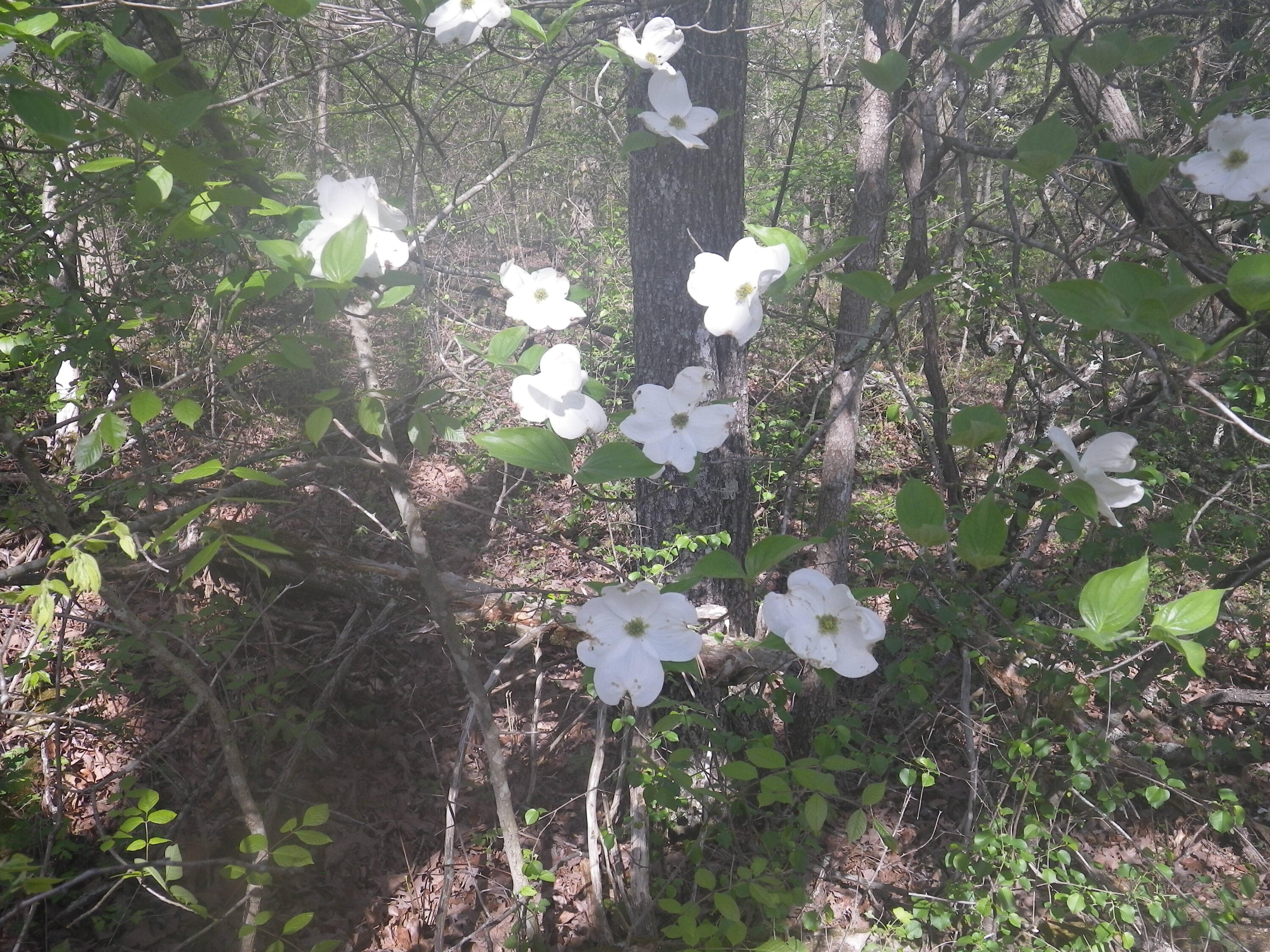 000 Longview Road Property Photo 18