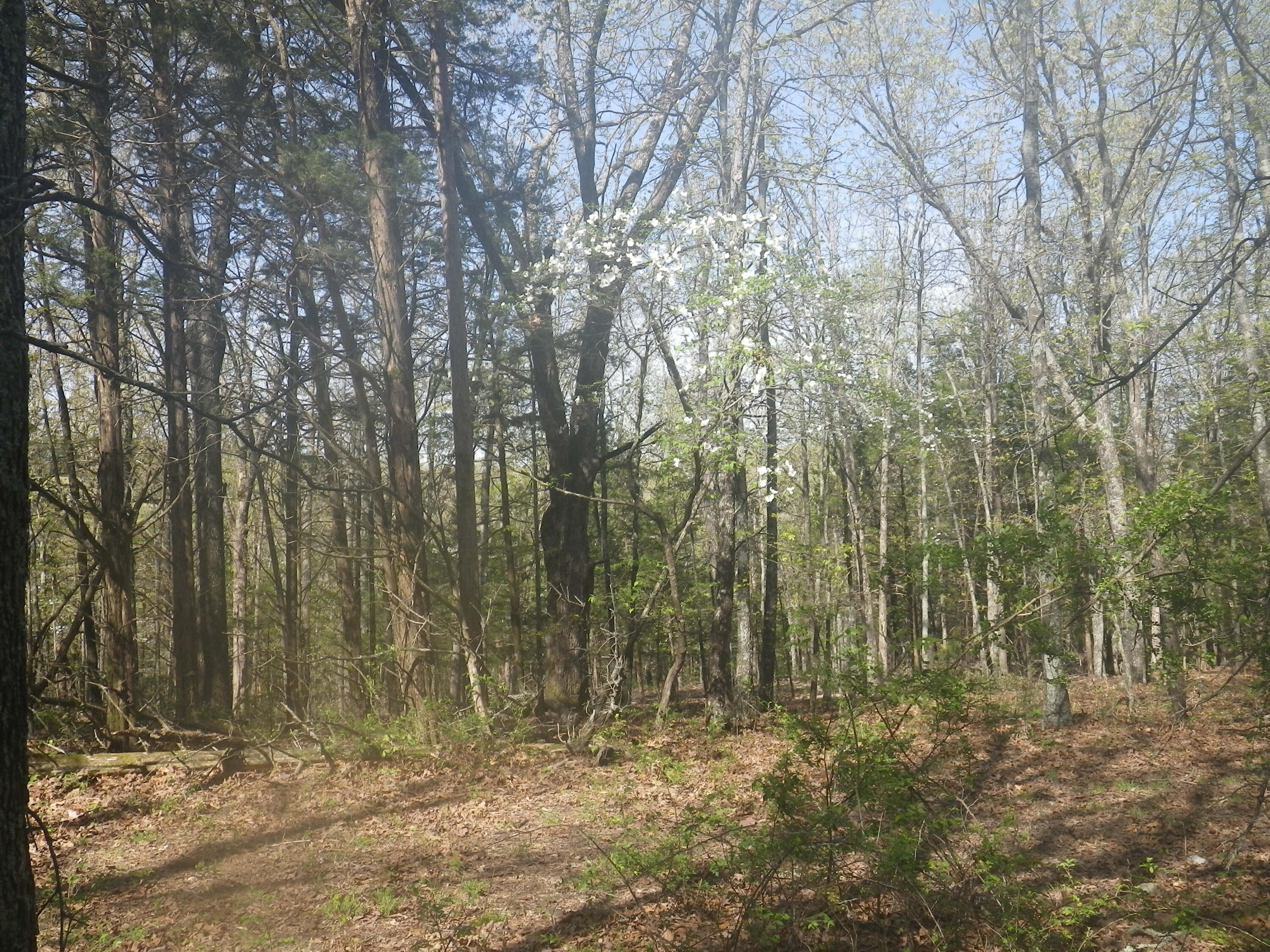 000 Longview Road Property Photo 20