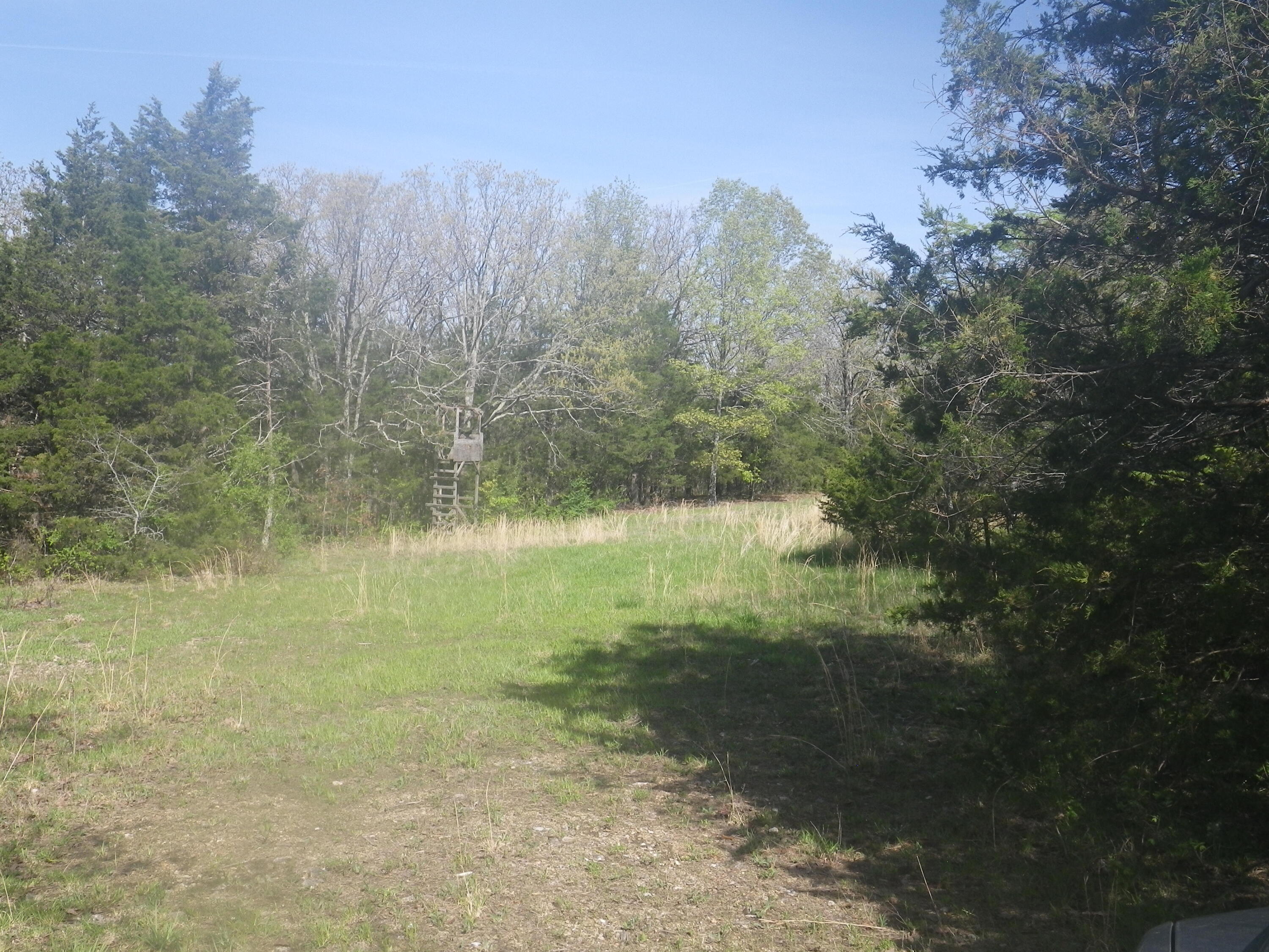 000 Longview Road Property Photo 21