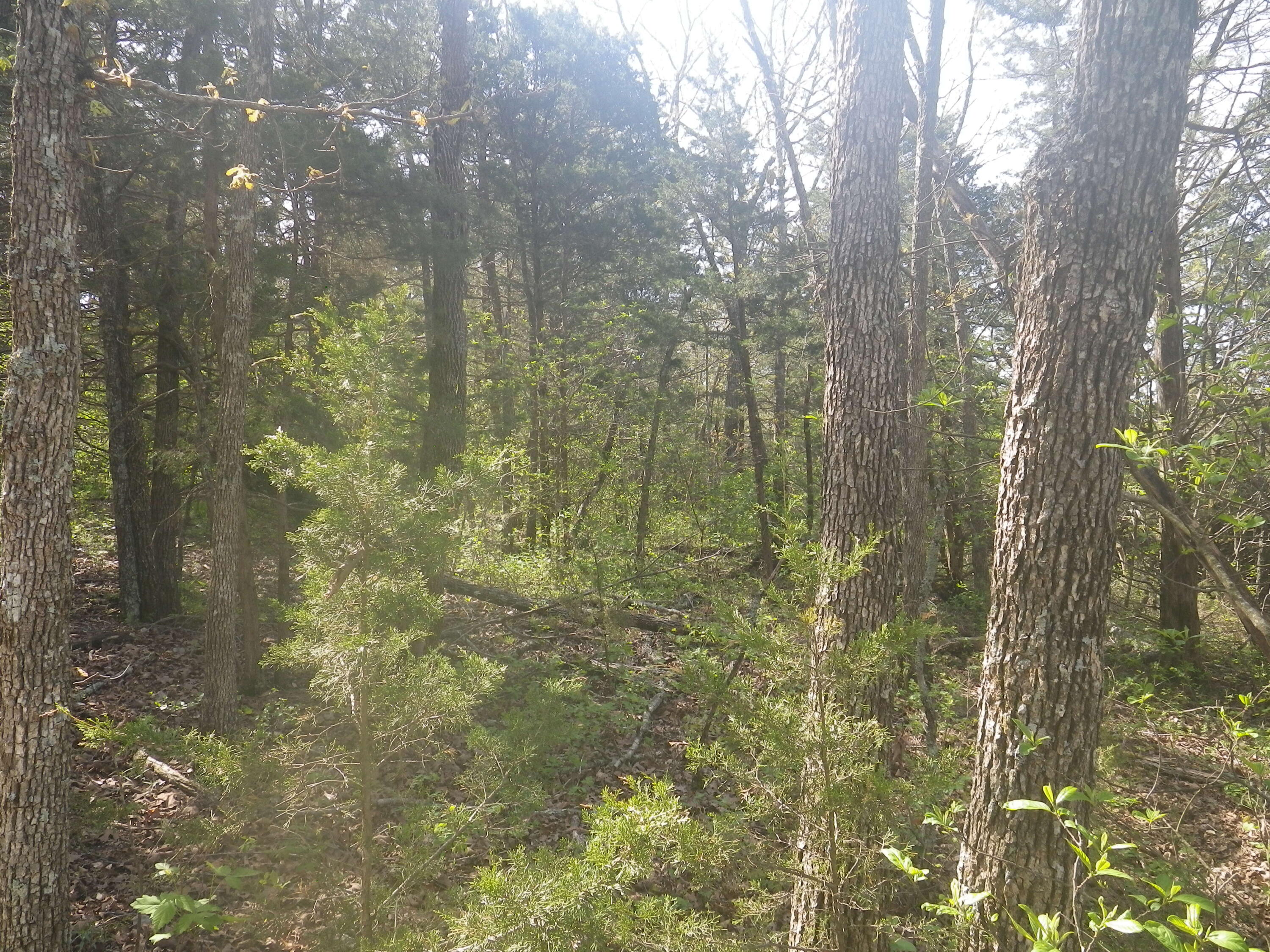 000 Longview Road Property Photo 22