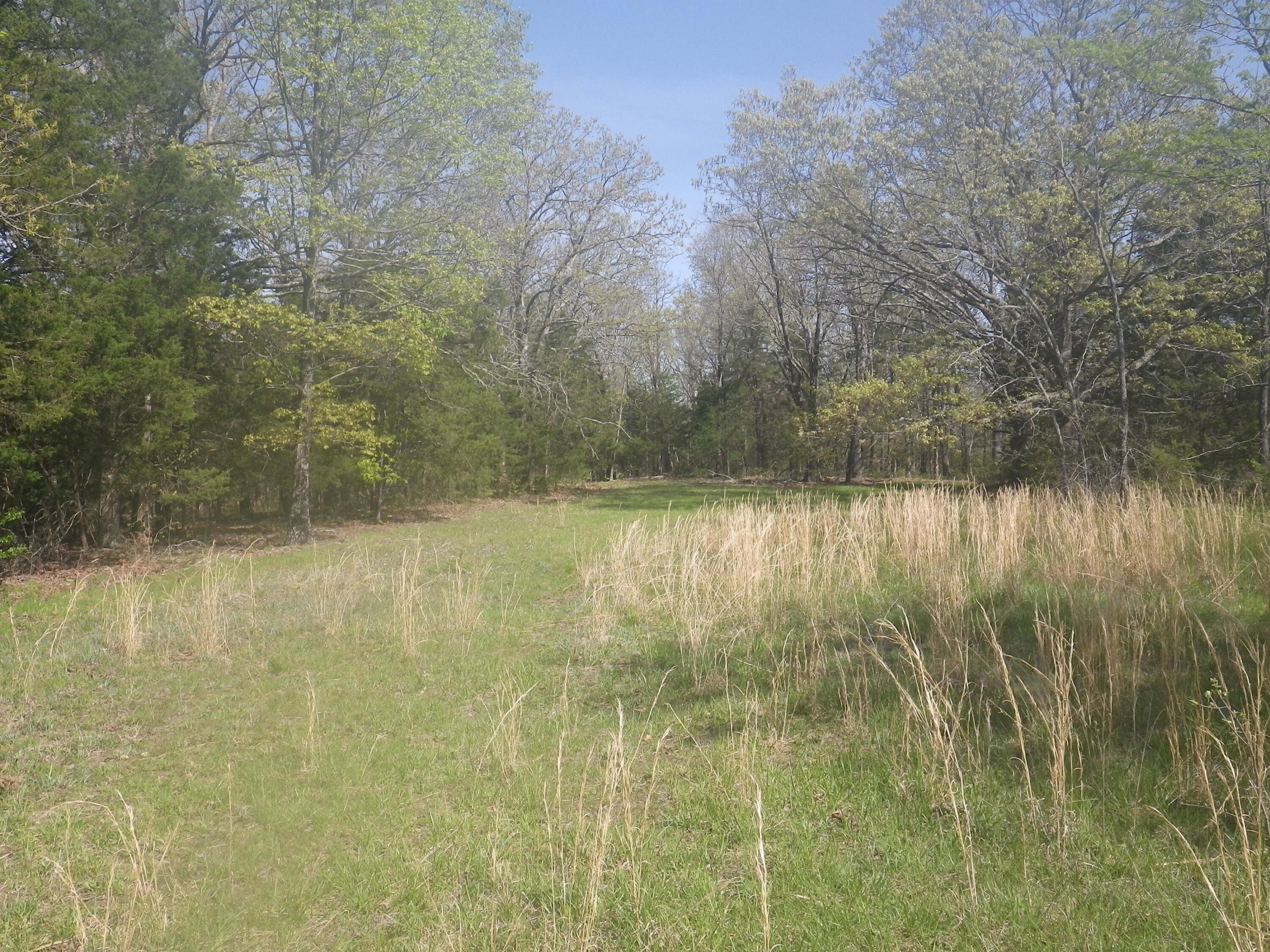 000 Longview Road Property Photo 23