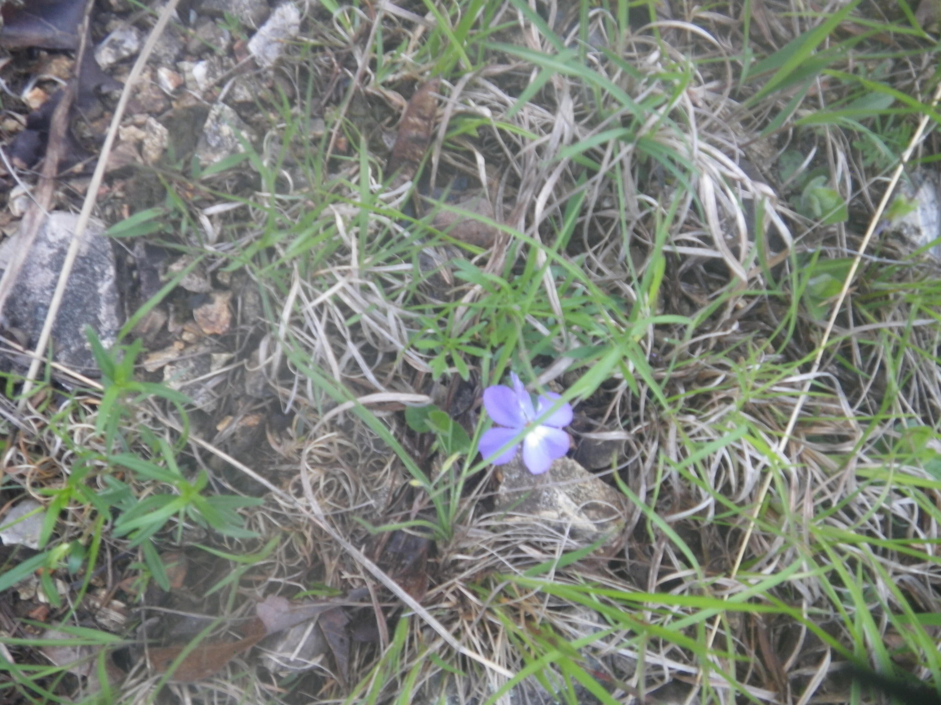 000 Longview Road Property Photo 25