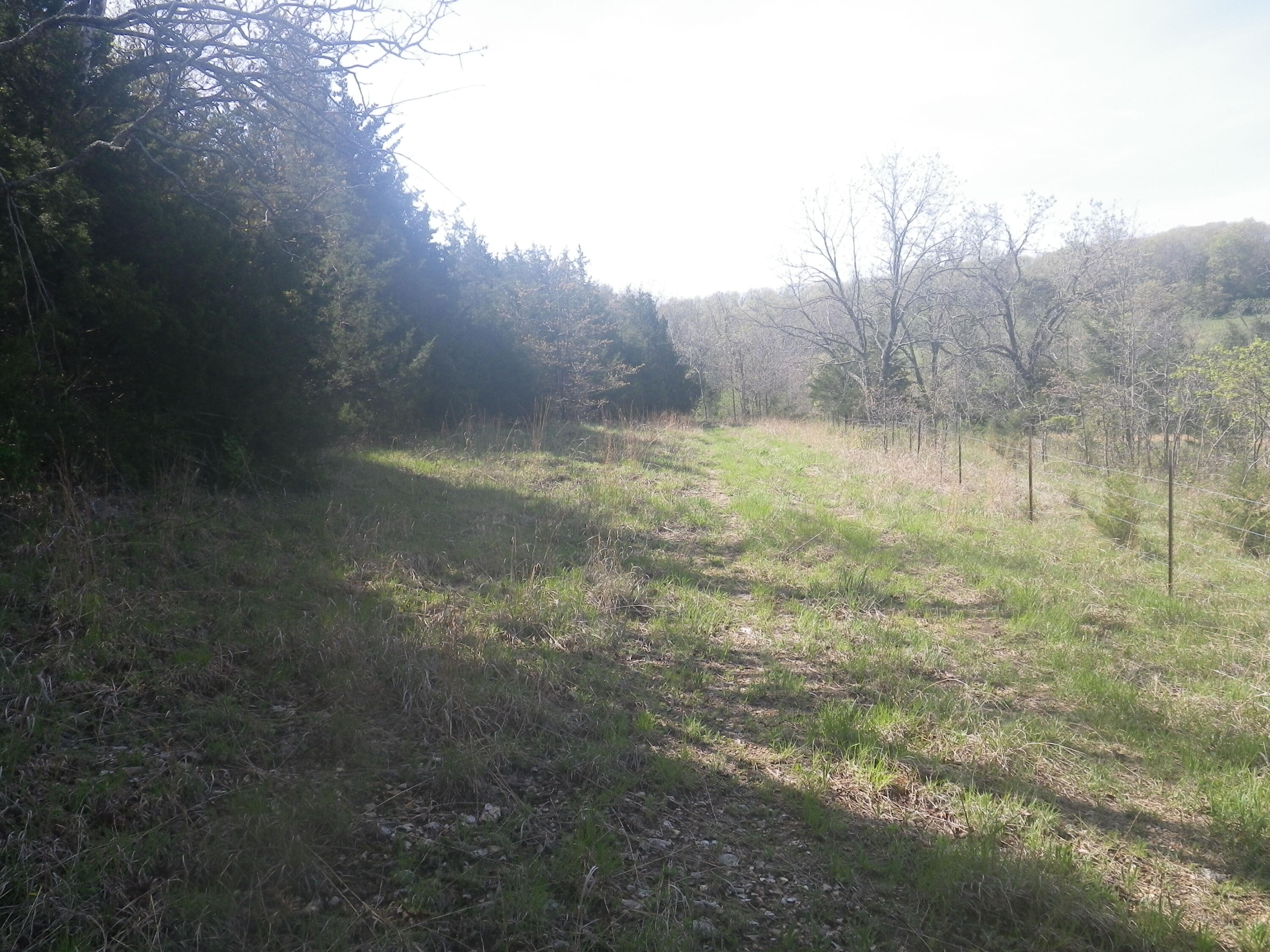 000 Longview Road Property Photo 26