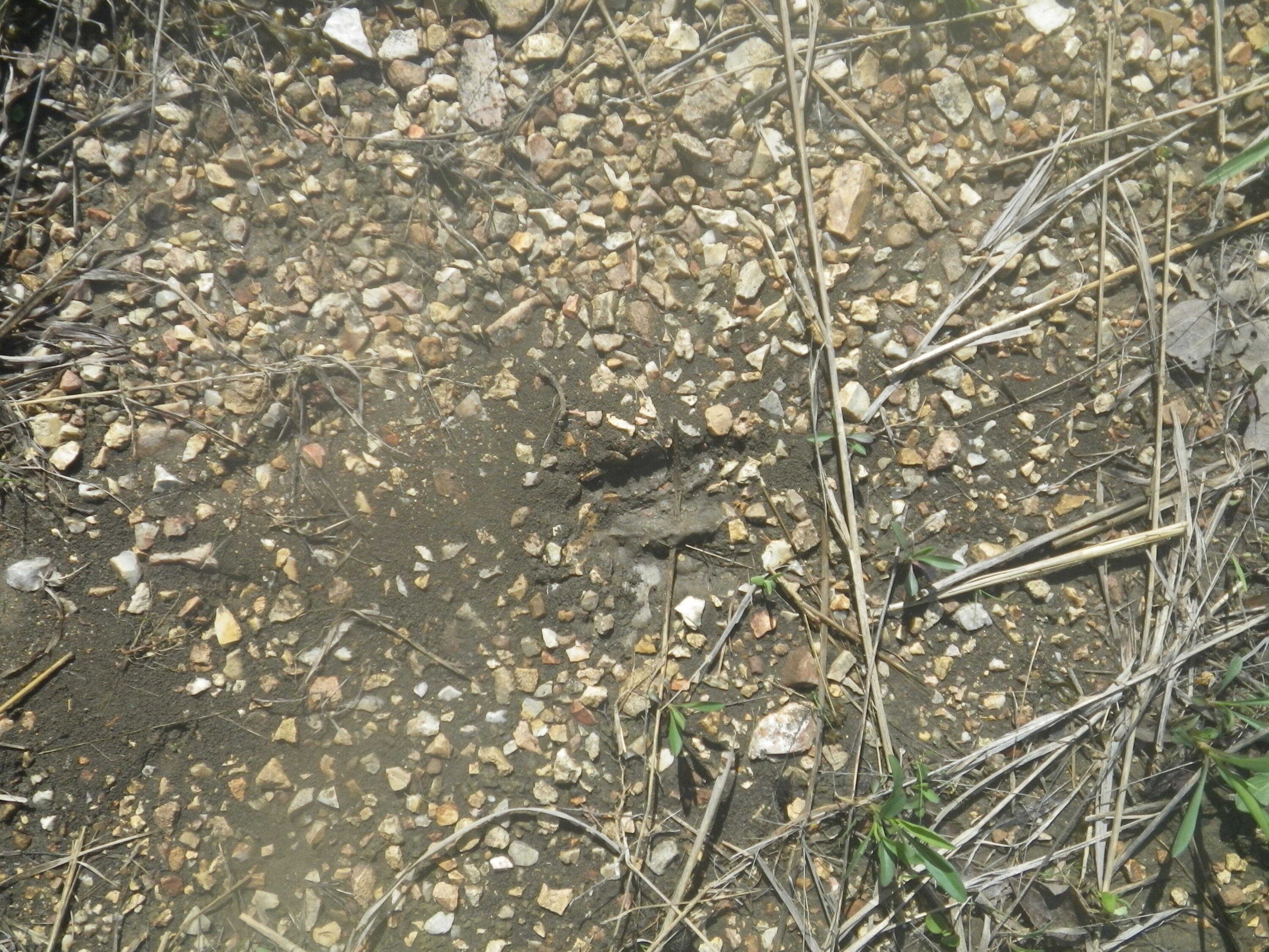 000 Longview Road Property Photo 27