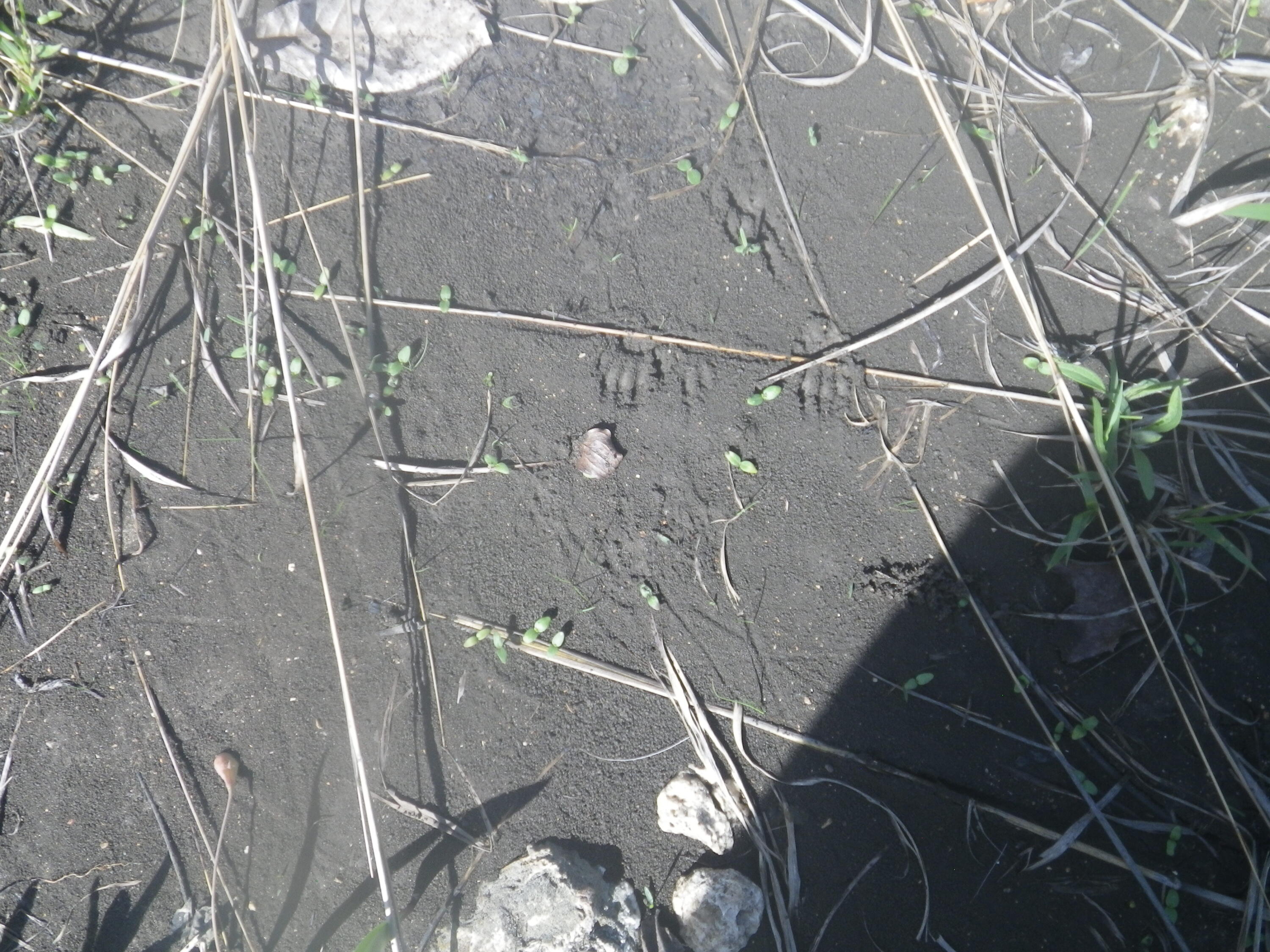 000 Longview Road Property Photo 28