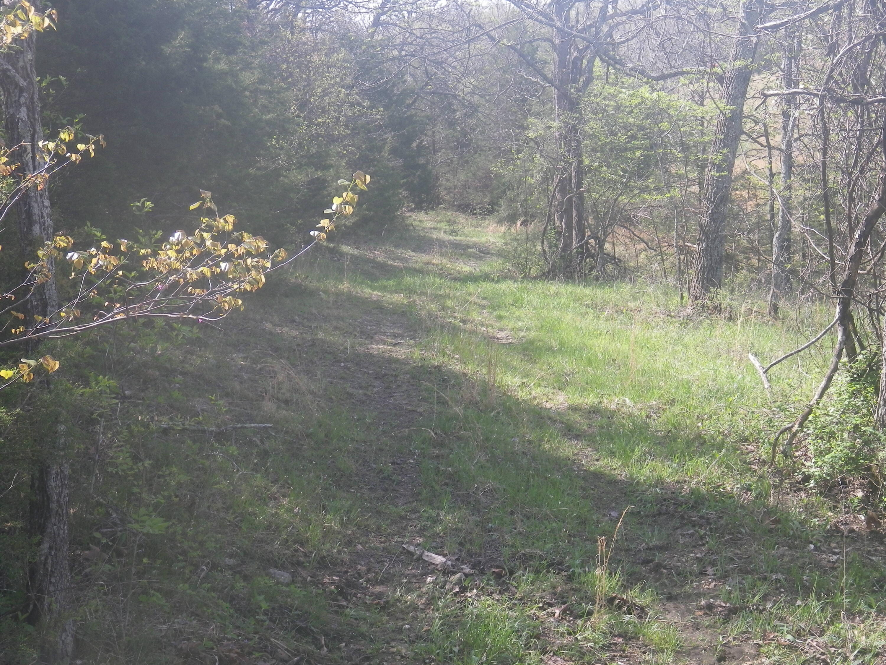 000 Longview Road Property Photo 29