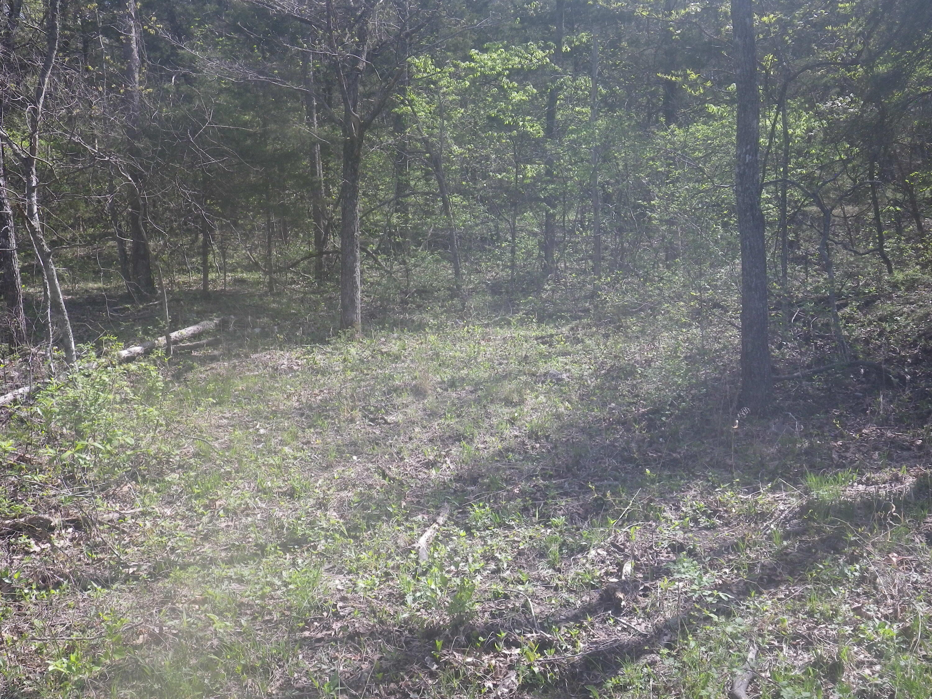 000 Longview Road Property Photo 33