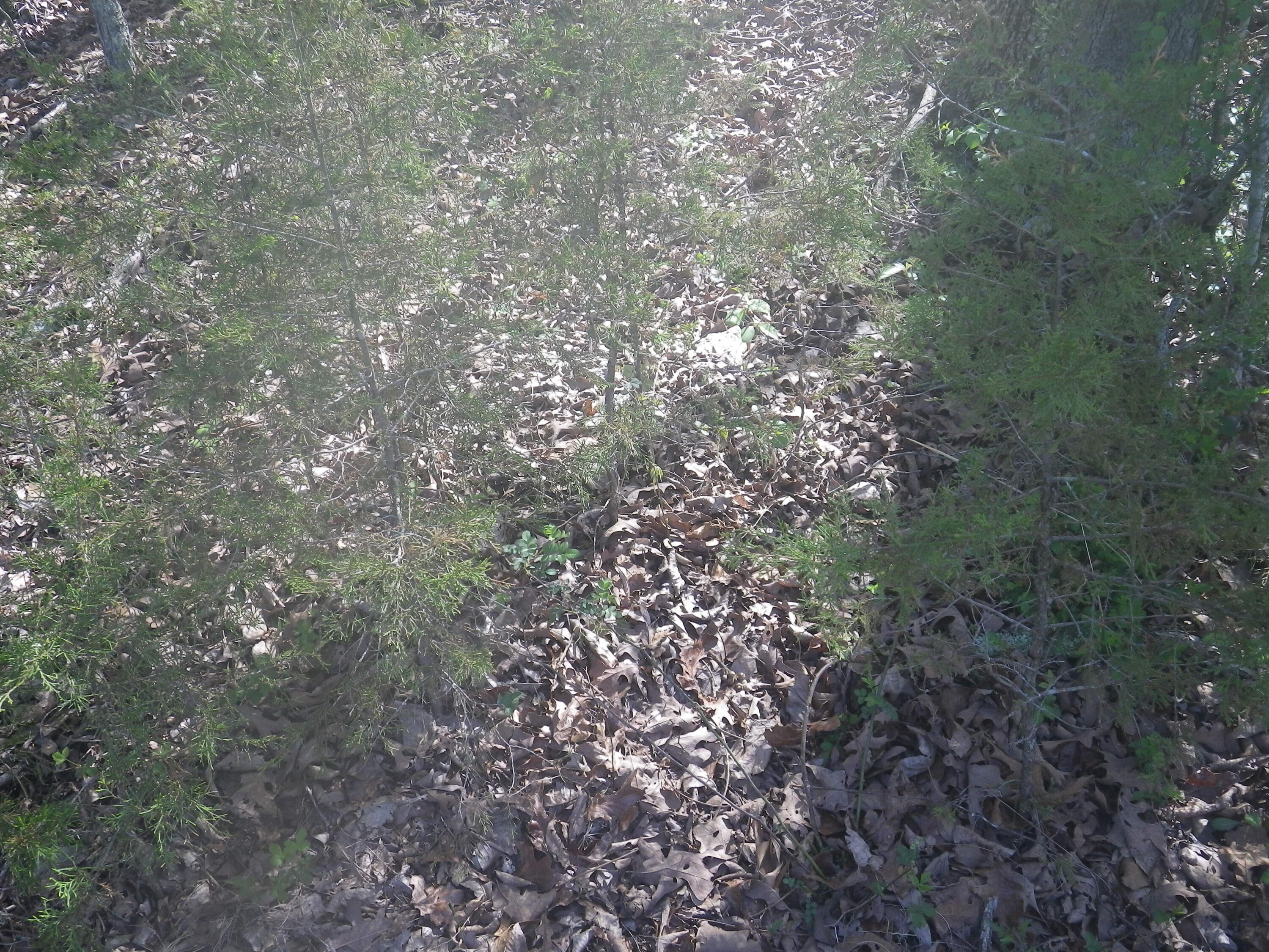 000 Longview Road Property Photo 34