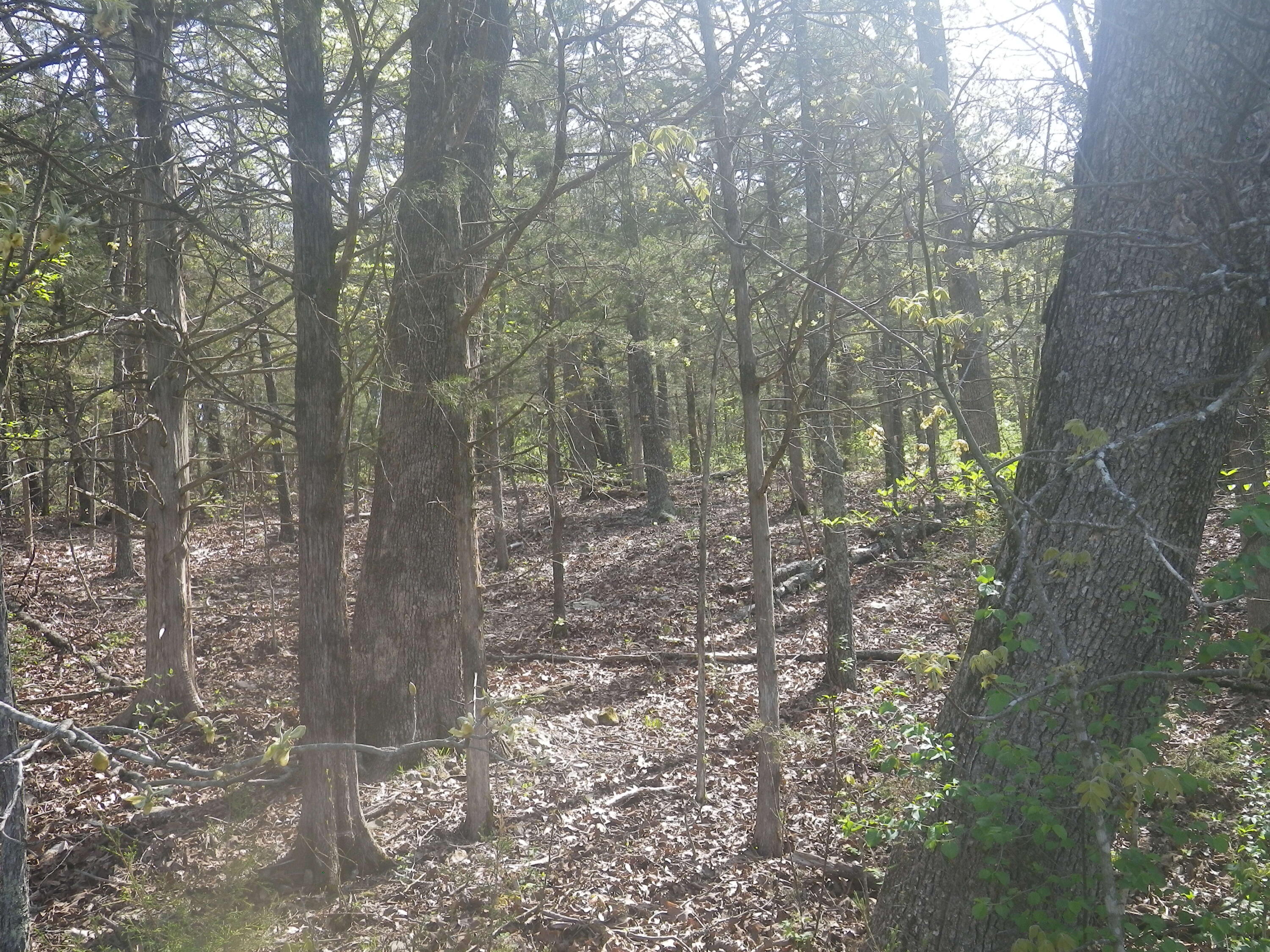 000 Longview Road Property Photo 35