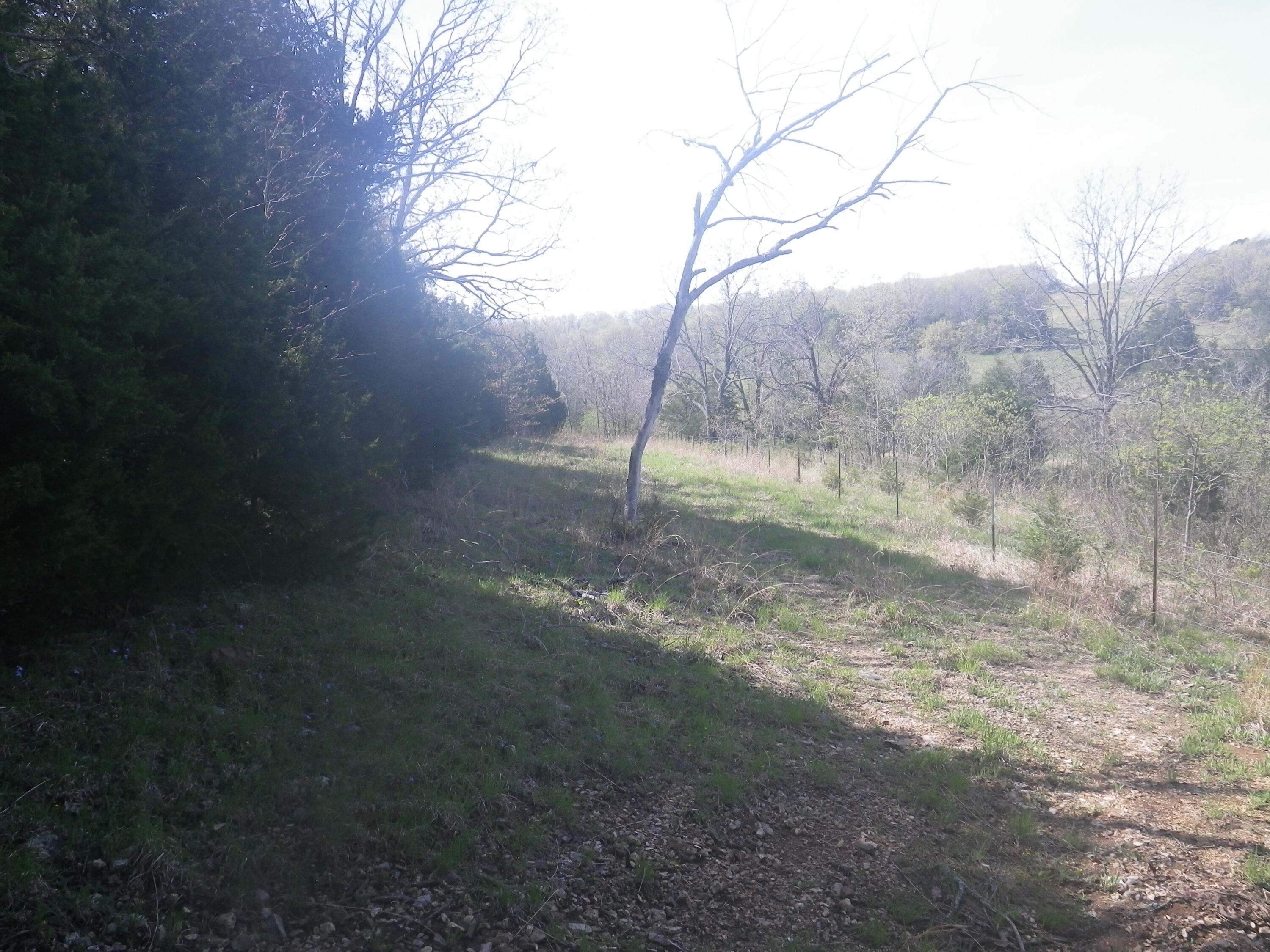 000 Longview Road Property Photo 38