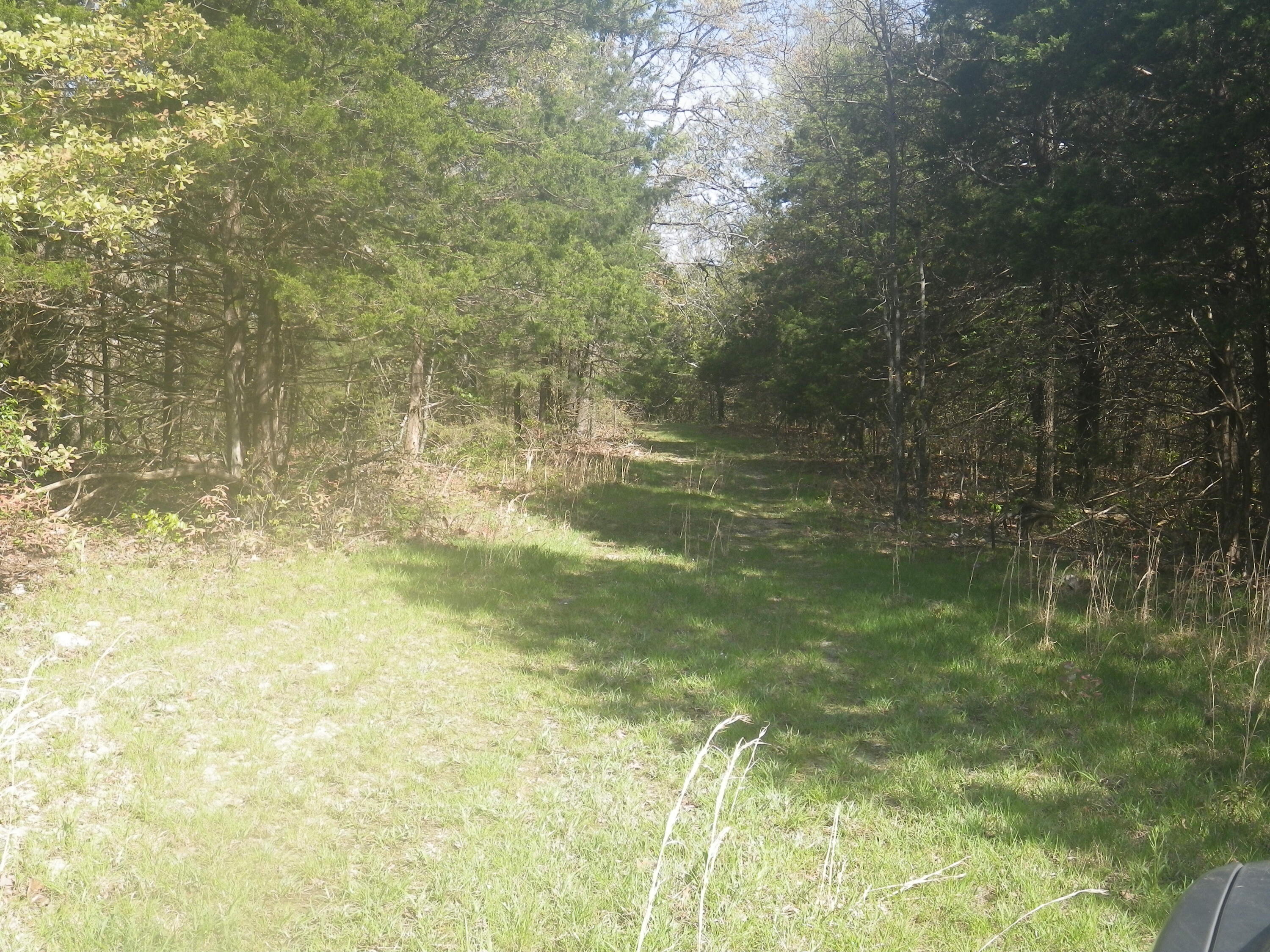 000 Longview Road Property Photo 39