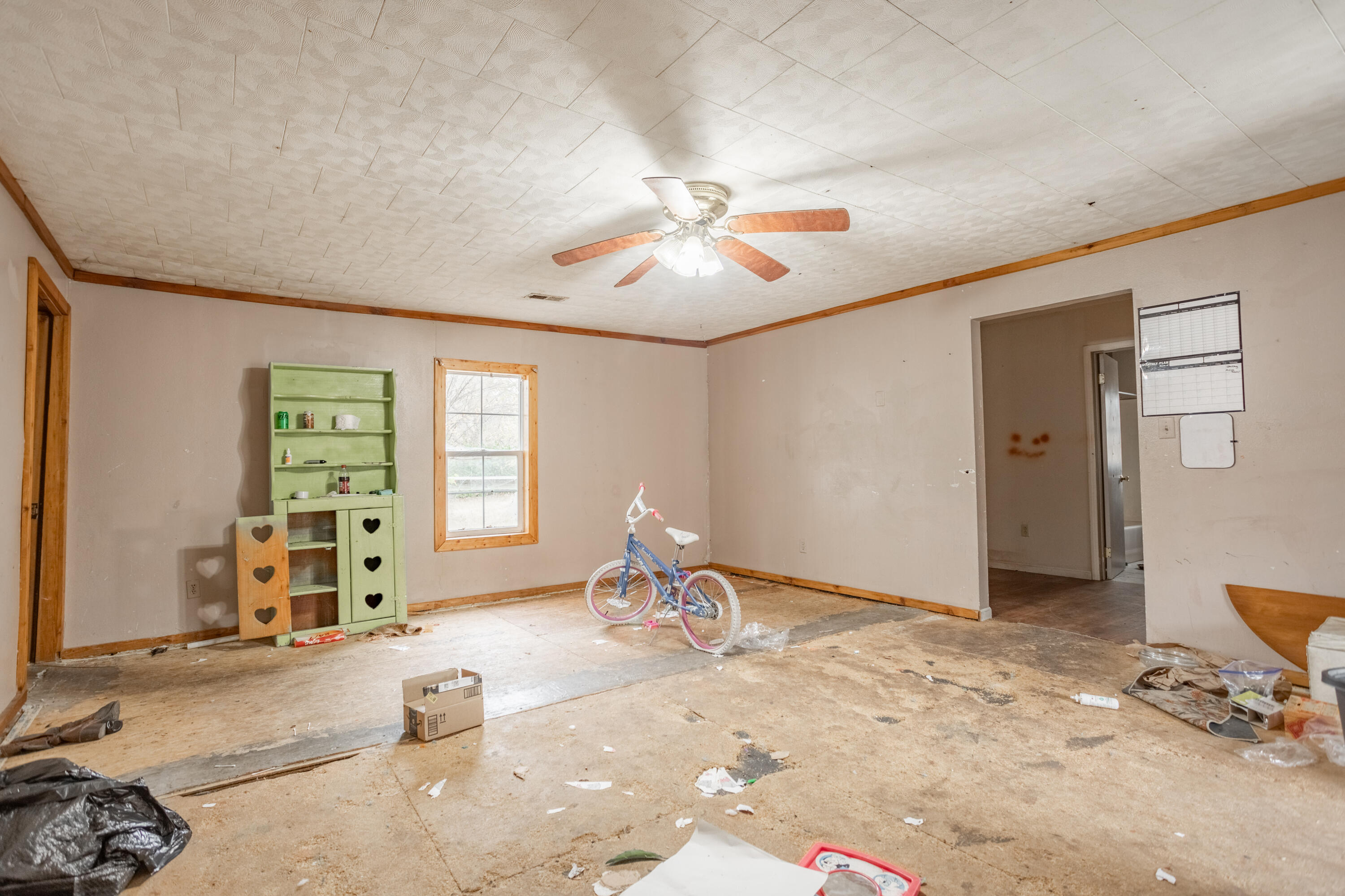 507 East Fanny Street Property Photo 8