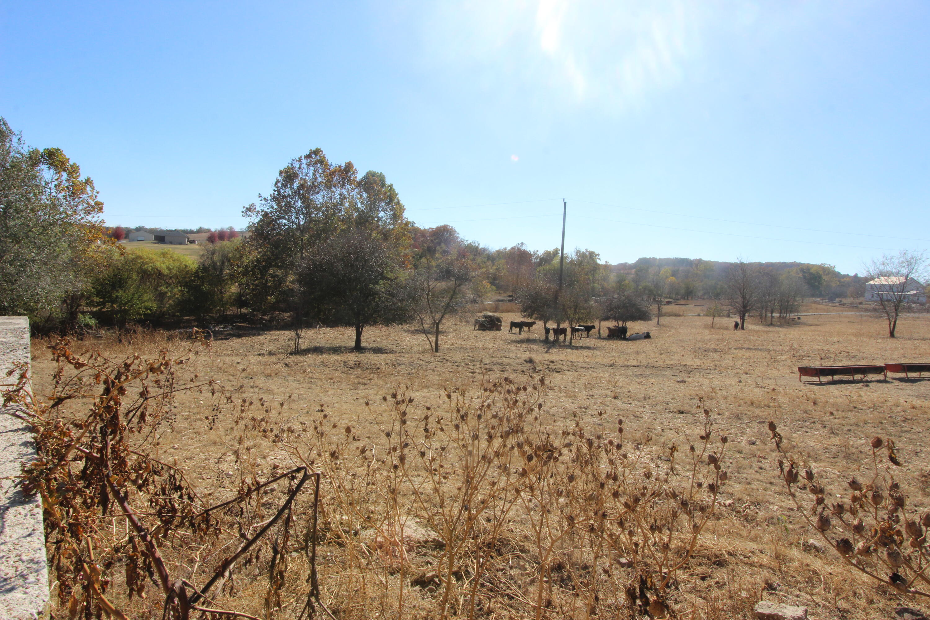 1819 Pleasant Hill Road Property Photo 22