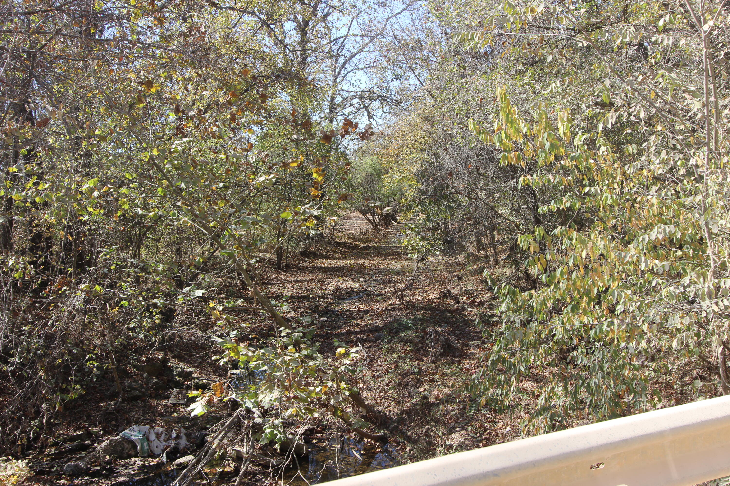 1819 Pleasant Hill Road Property Photo 24