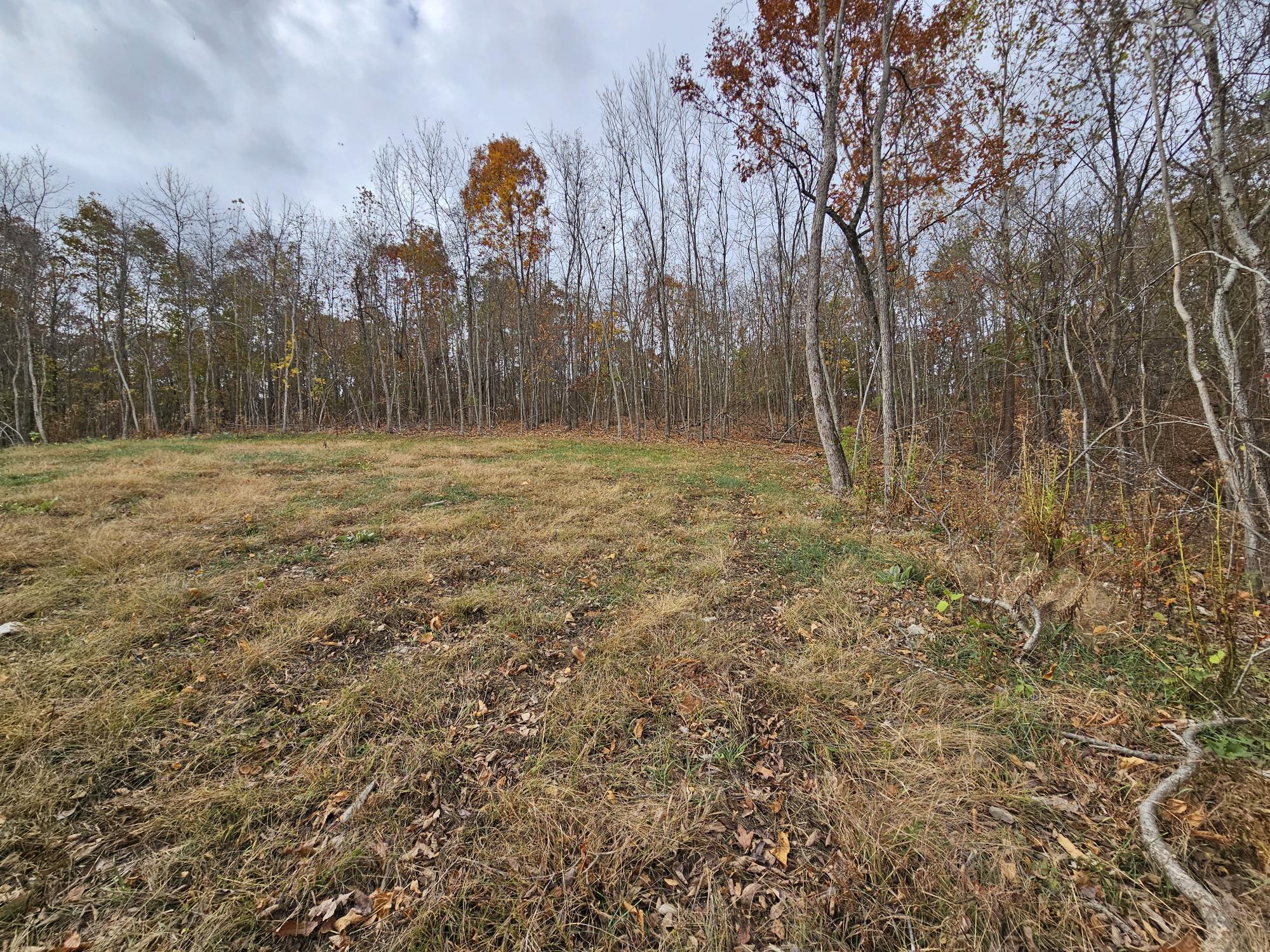 6.76 Ac Town Hollow Road Property Photo 2
