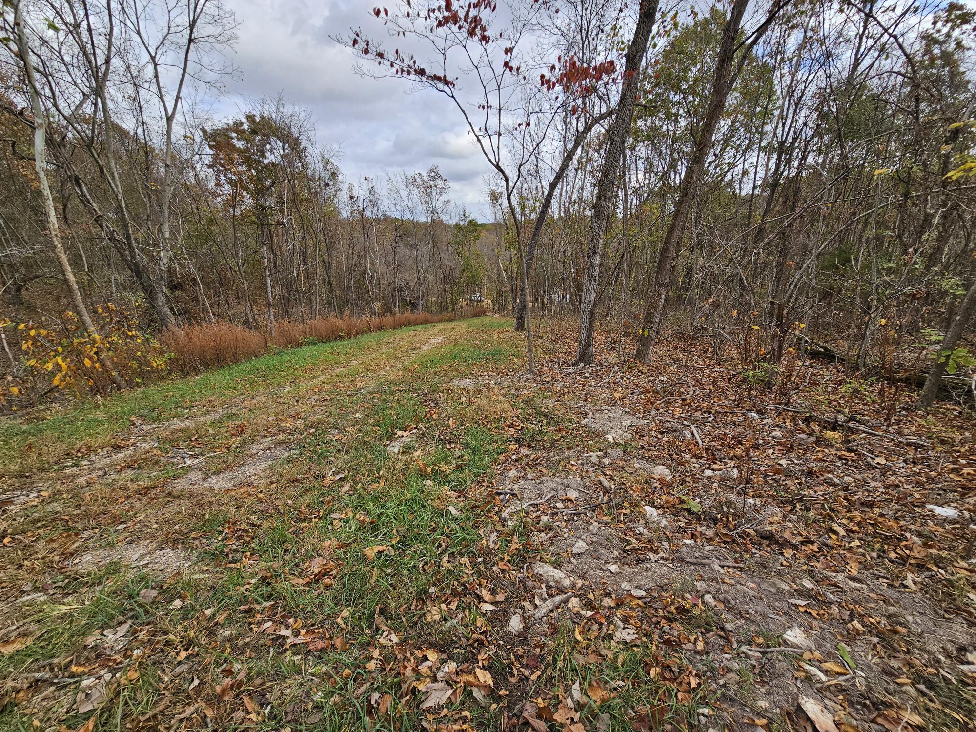 6.76 Ac Town Hollow Road Property Photo 3