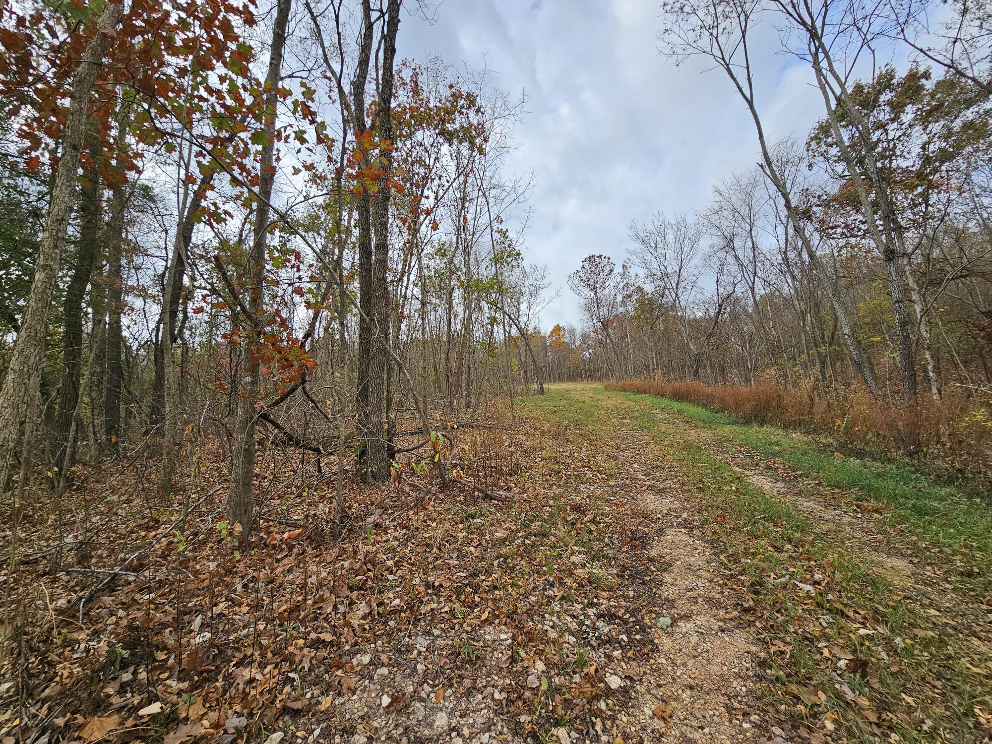 6.76 Ac Town Hollow Road Property Photo 4
