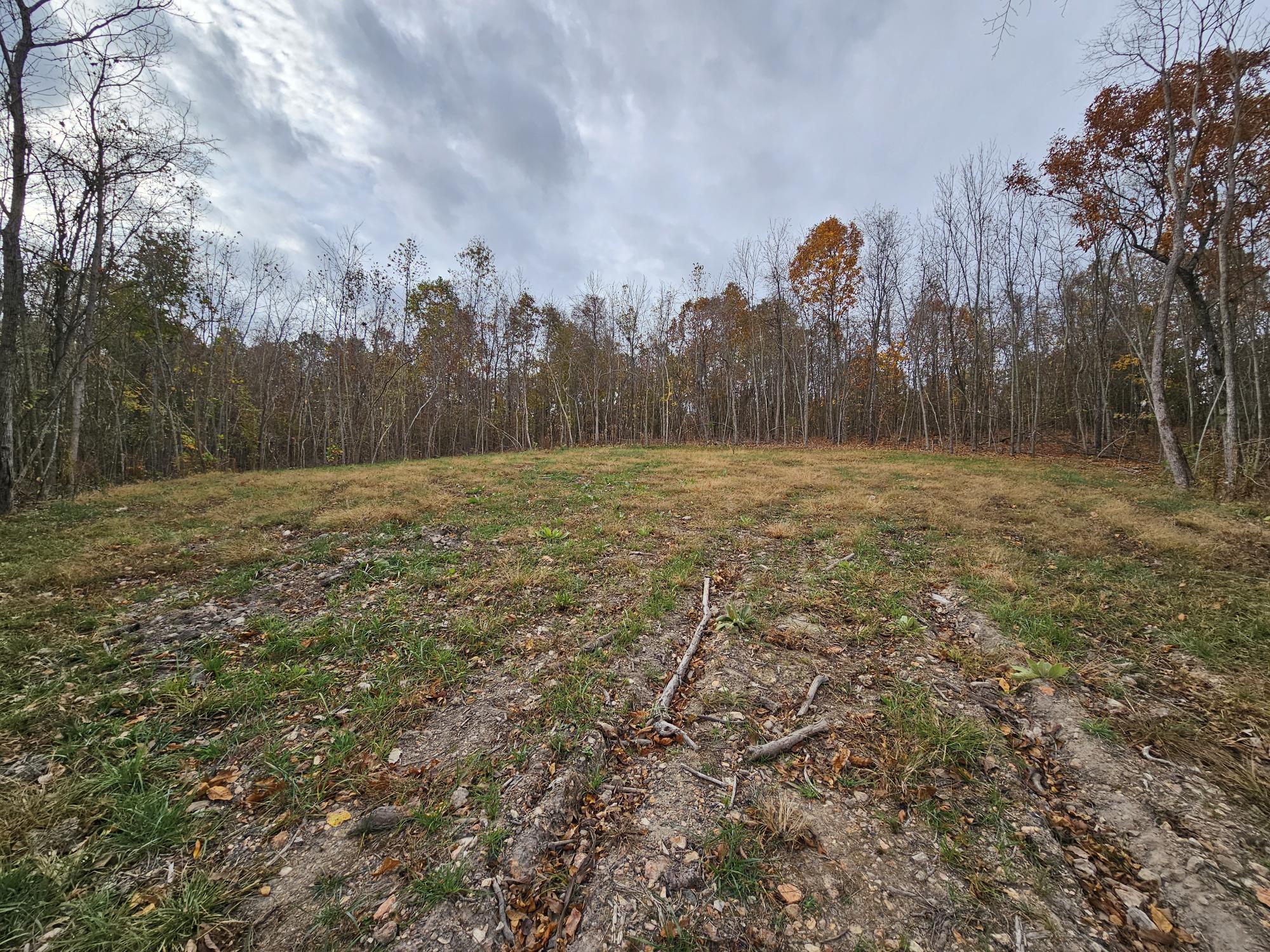 6.76 Ac Town Hollow Road Property Photo 5