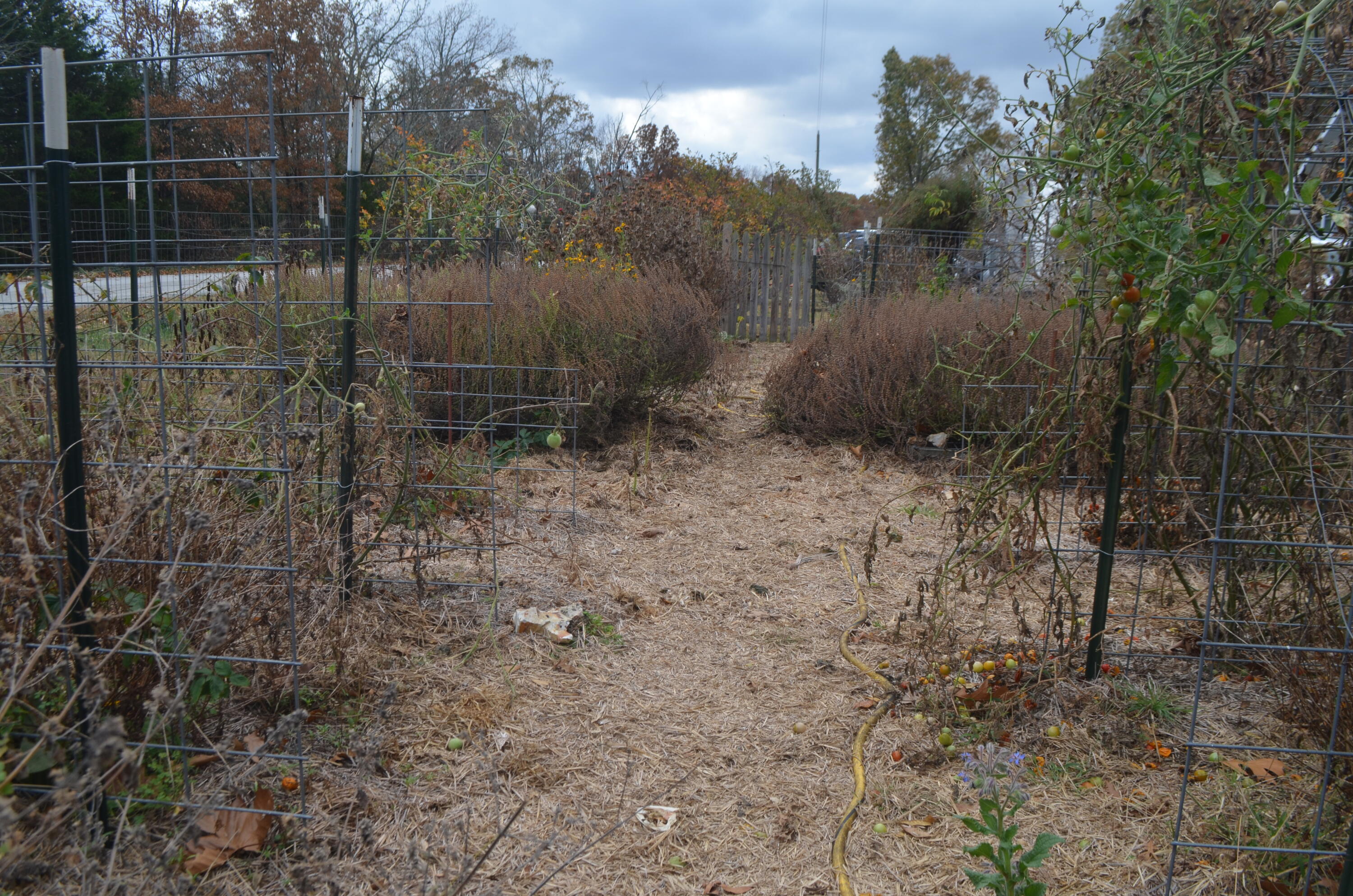 4435 Olga Road Property Photo 41