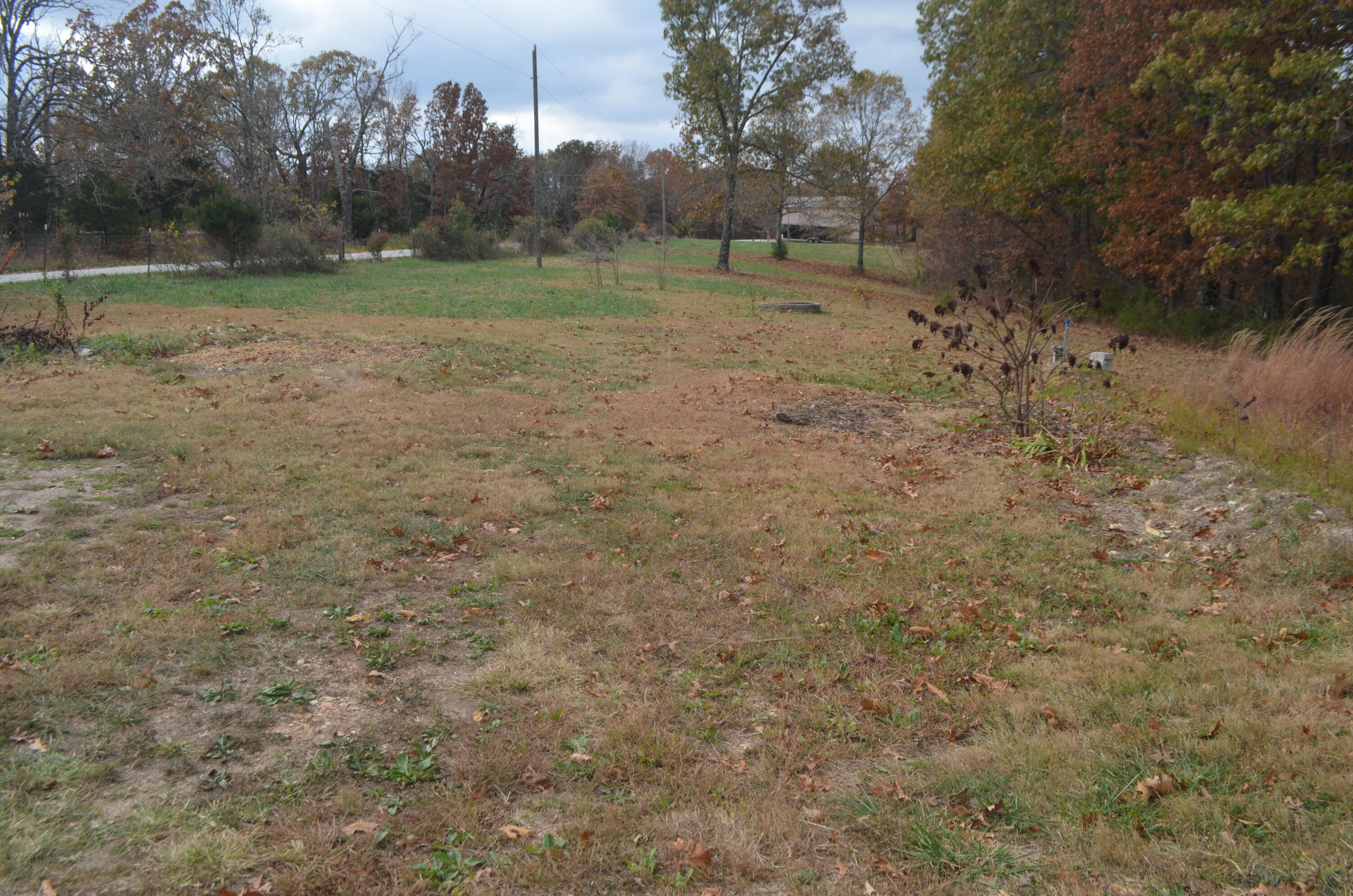 4435 Olga Road Property Photo 43