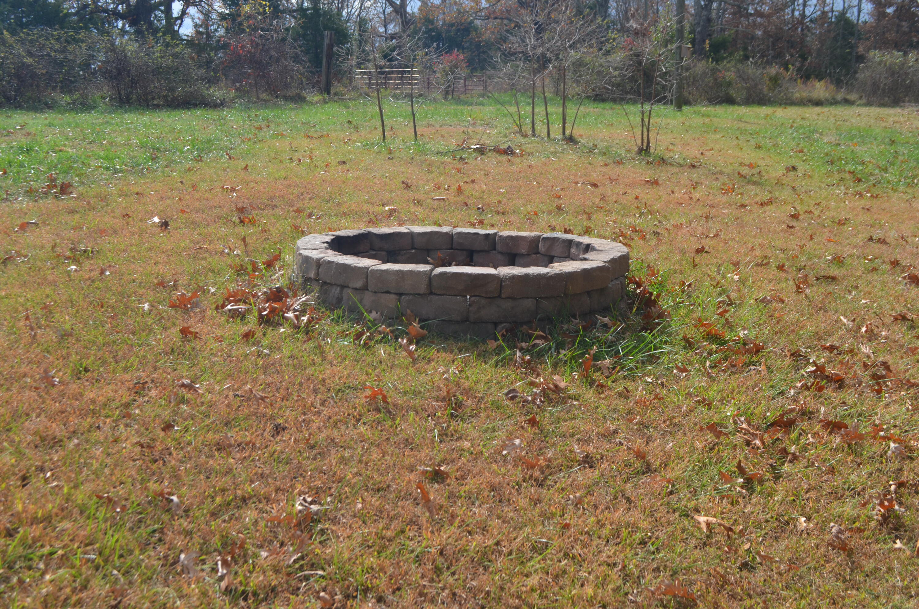 4435 Olga Road Property Photo 44