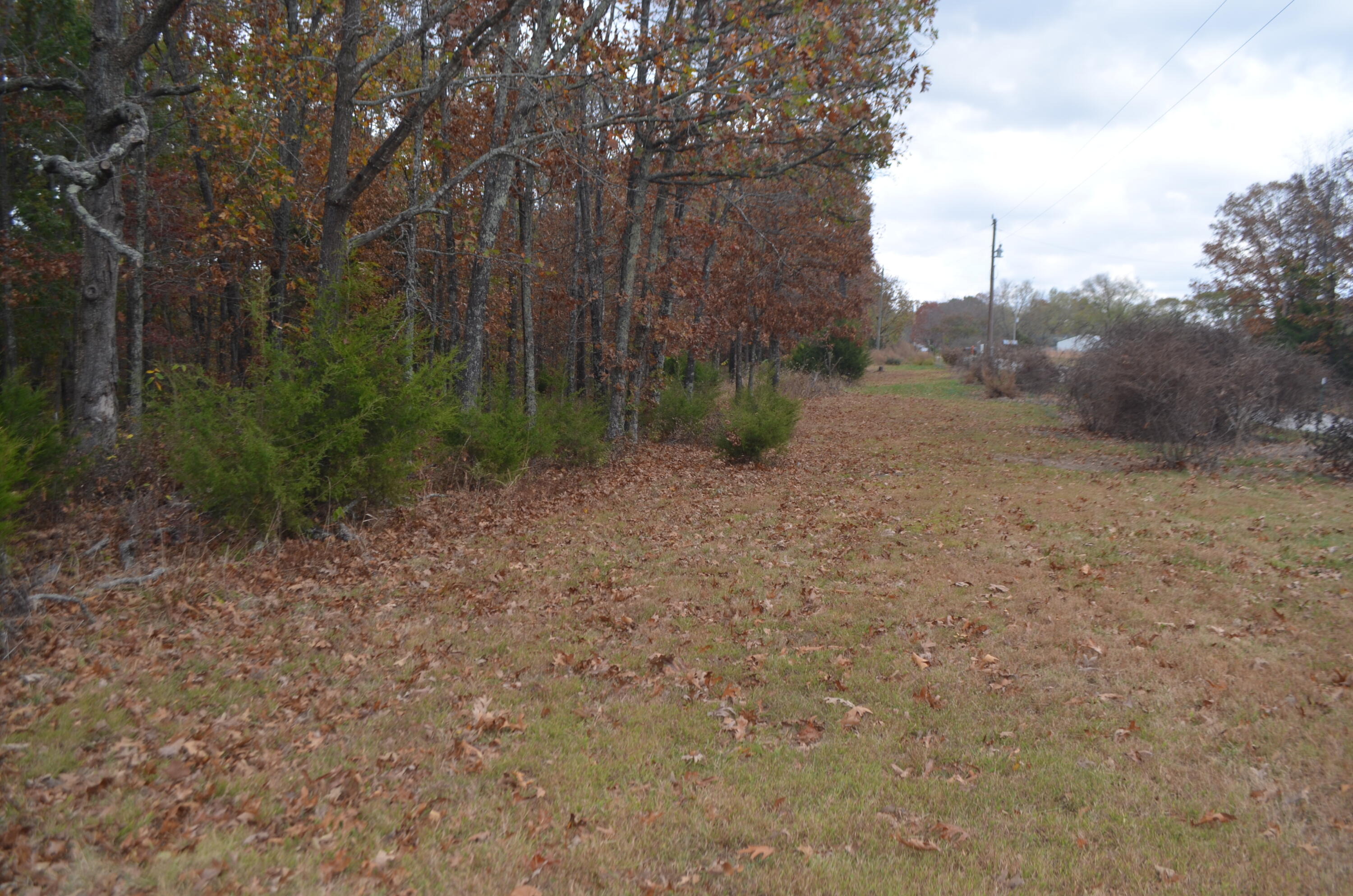 4435 Olga Road Property Photo 46