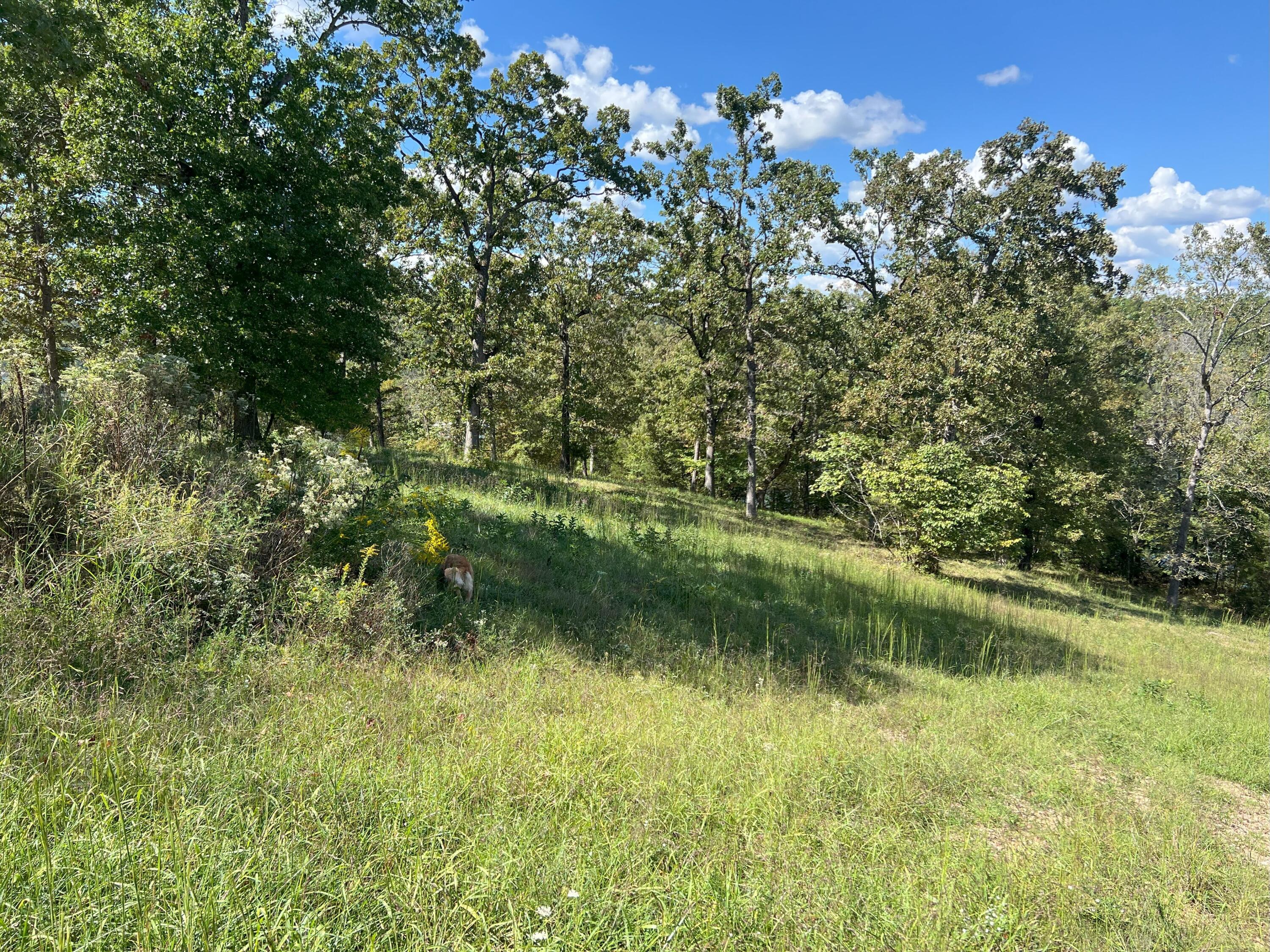 #9 Ledge Rock Lane Property Photo 6