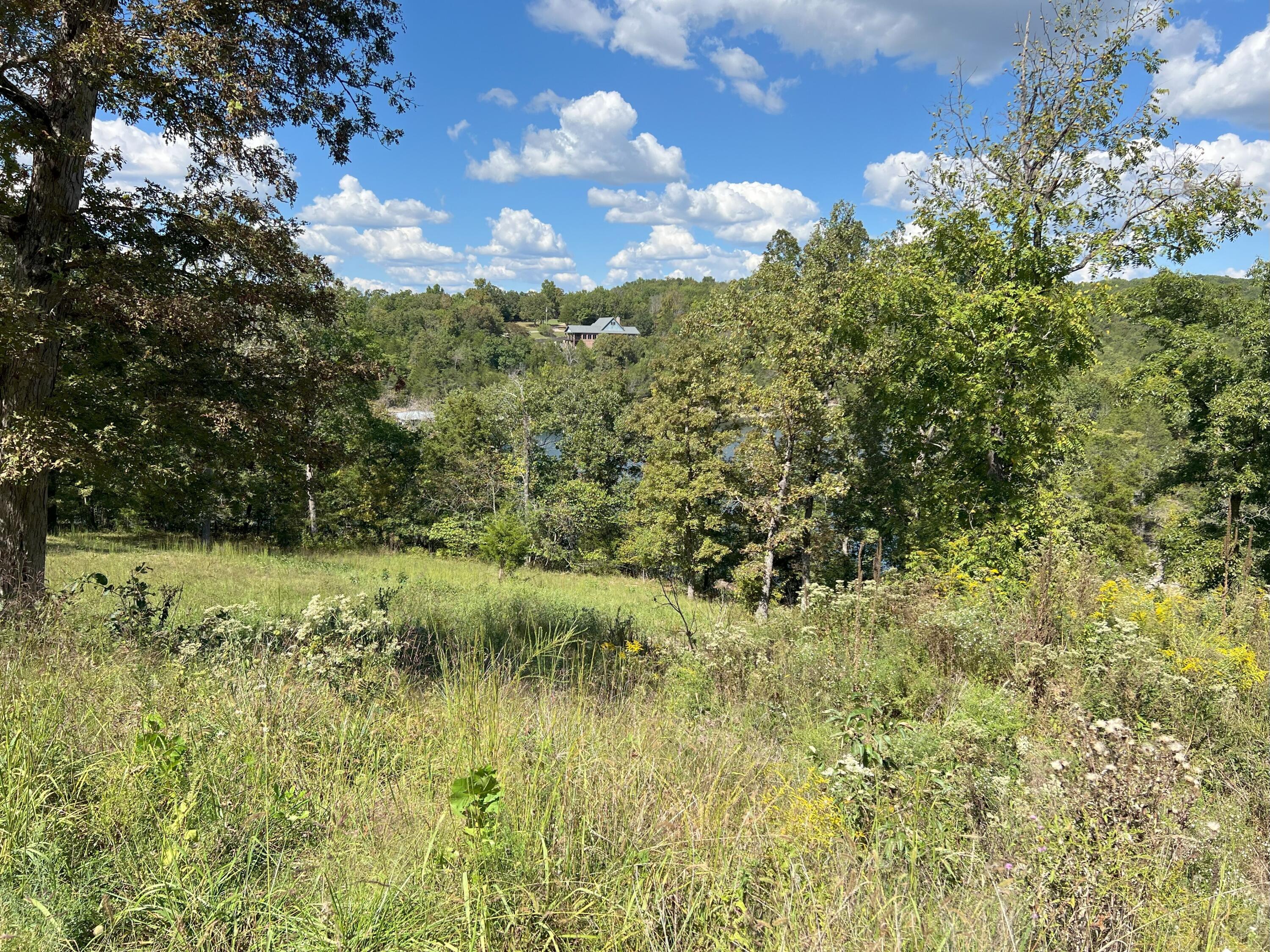 #10 Ledge Rock Lane Property Photo 6
